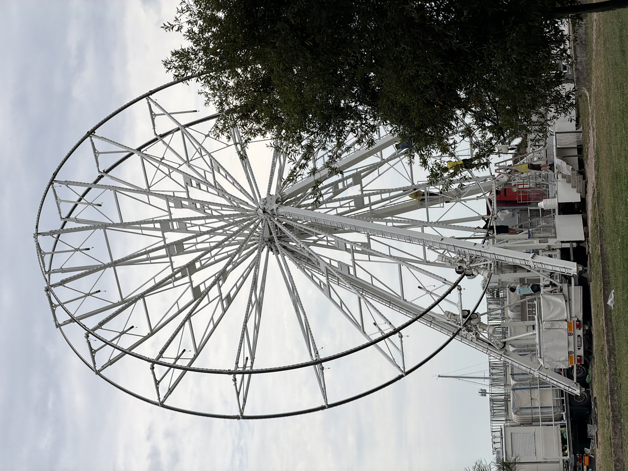 The image depicts a large Ferris wheel under construction or maintenance. It is primarily white with a complex network of steel beams. A tree branch partially obscures the upper right portion of the wheel. Several trucks and trailers are situated adjacent to the wheel. The sky is overcast. The location is likely Budva, Montenegro. There are people on or near the structure.