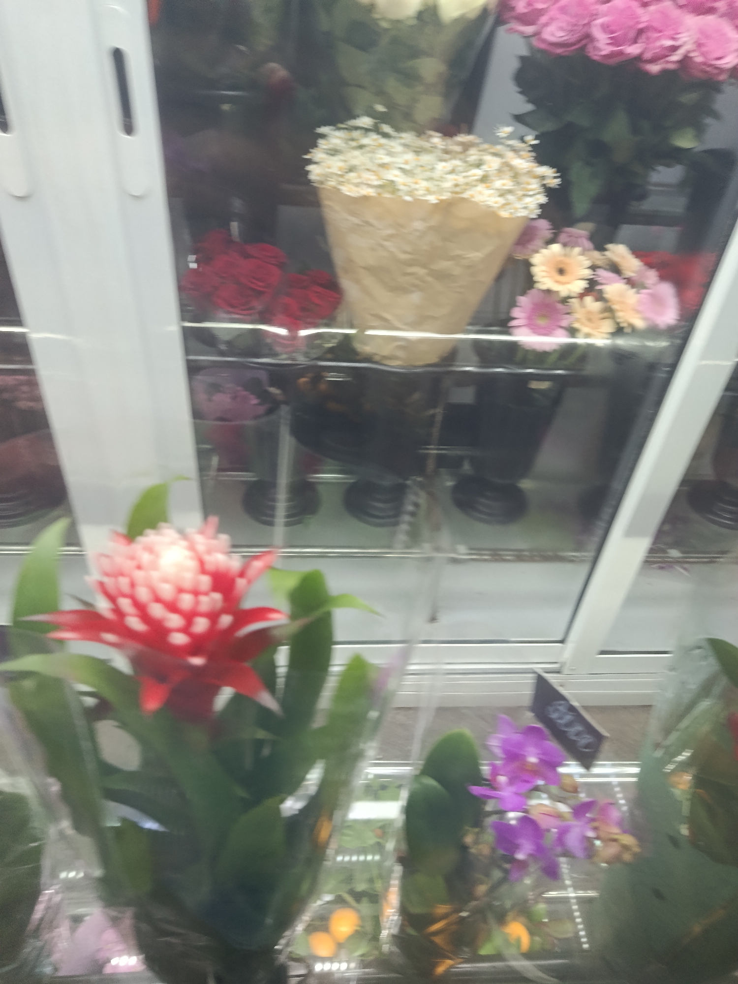 The image shows a display of various flower arrangements inside a refrigerated flower shop display case. In the foreground, a bromeliad with red and white petals is prominently displayed. Adjacent to it is a smaller arrangement of purple orchids. Behind these foreground arrangements and within the display case are bouquets of roses (red and pink), daisies, and other mixed flowers. The arrangements are in vases and some are wrapped in paper. The scene appears to be indoors, in a retail environment, but the specific location and city are unknown.