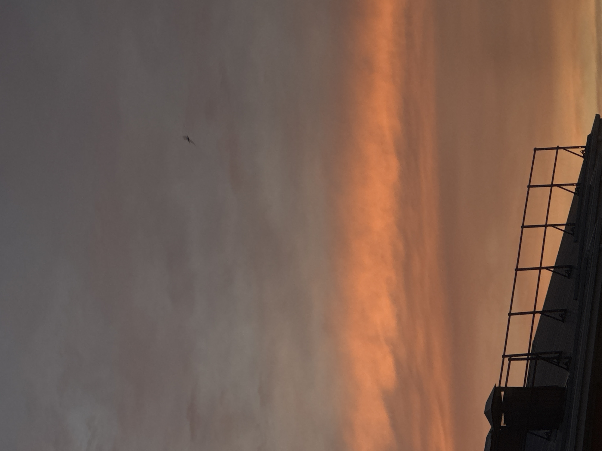 The image shows a rooftop in Mikhaylovsk, Russia, against a twilight sky. A dark chimney stack with a cap is visible on the left side of the frame, silhouetted against the sky. A dark metal railing runs along the edge of the rooftop, with visible supports. The sky is a gradient of colors, with a band of bright orange clouds stretching horizontally across the middle of the frame, transitioning to a darker, grayish-purple sky at the top. A small, dark silhouette of a bird in flight is visible in the upper right portion of the sky. The scene is devoid of people.