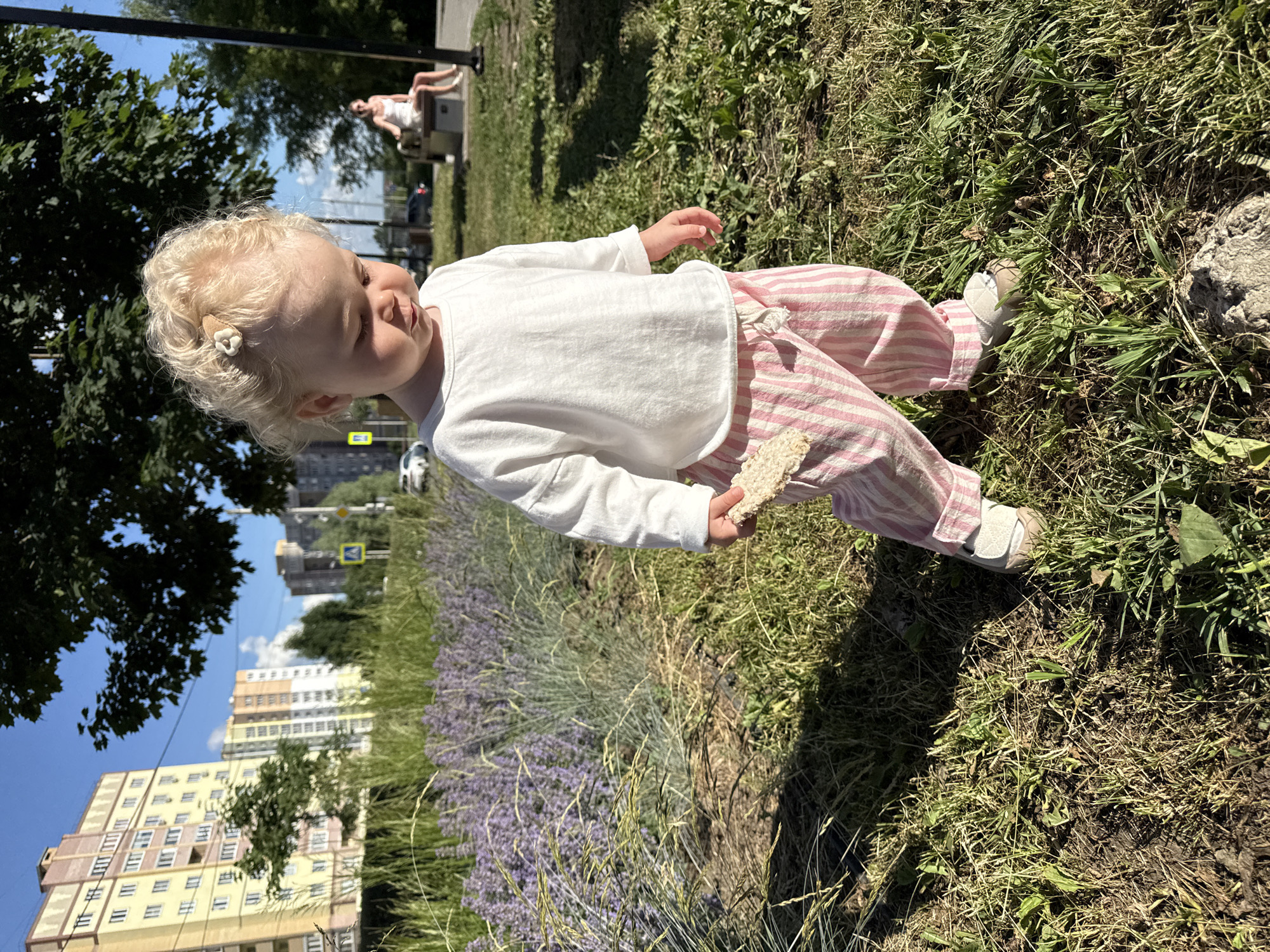 A young child, appearing to be a toddler, stands in a grassy area next to a patch of lavender in a park or public garden. The child has blonde curly hair with a small hair clip and is wearing a white long-sleeved shirt and pink and white striped pants. They are holding a light-colored, textured object in their right hand. In the background, there are apartment buildings visible, suggesting an urban environment. A woman is seated on a bench in the distance. The overall scene is outdoors on a sunny day, with trees and green grass. This location is identified as being in the city of Vladimir, Russia.