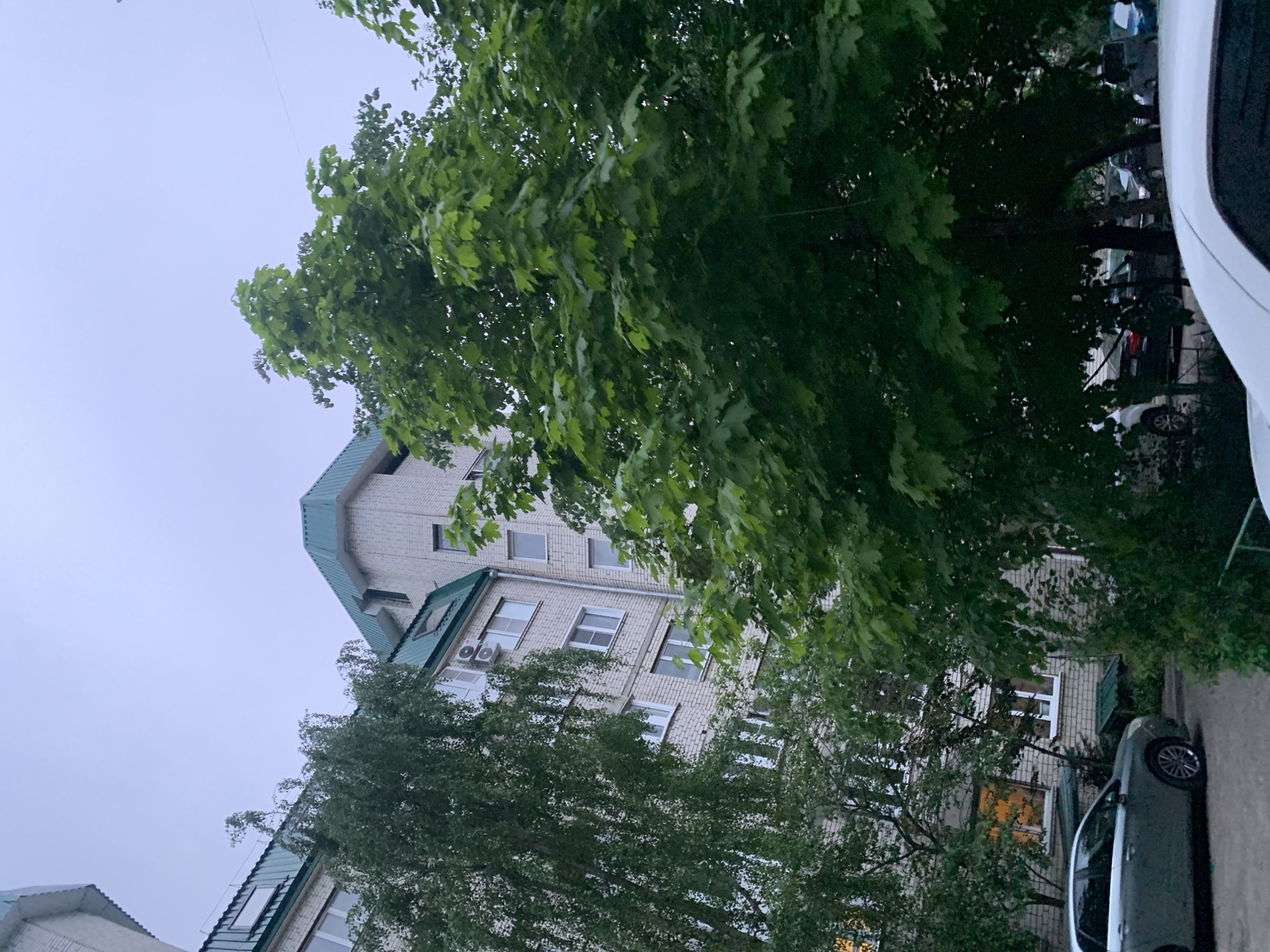 The image presents an upward, angled view of a multi-story building. The building appears to be made of light-colored brick or concrete blocks, with a distinct green-tiled roof. The facade includes multiple windows and air conditioning units. Dense green foliage, likely from trees, obscures a significant portion of the building. Two cars are visible, one white on the right and another gray. The image was taken in Stavropol, Russia. The sky is overcast, suggesting possible inclement weather or dusk.