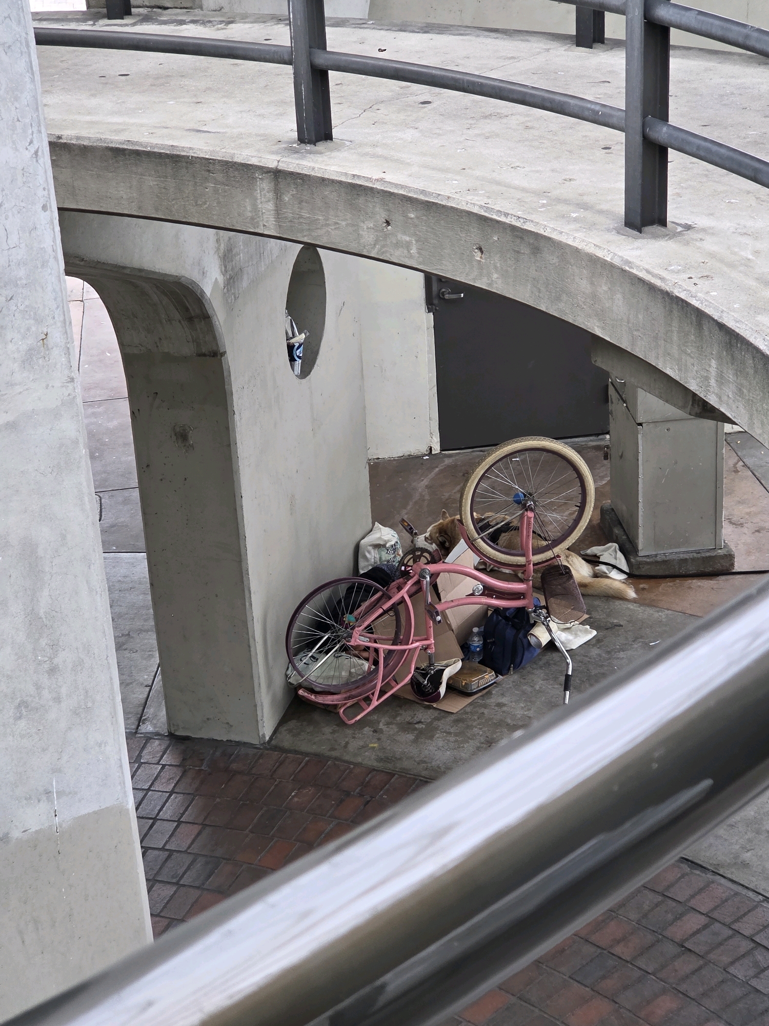 The image shows a pink bicycle with its front wheel detached and lying on its side on a concrete surface in Long Beach, United States of America. The bicycle is surrounded by various items, including bags, a water bottle, and what appears to be a sleeping bag. A dog, possibly a husky mix, is lying next to the bicycle, appearing to be asleep. The scene is located under a concrete structure with metal railings. The ground is paved with brick-like tiles in some areas and concrete in others. There are also some architectural elements visible, such as a concrete pillar with an archway and a dark-colored door in the background. The overall impression is that of a street scene, possibly in an urban area, with elements suggesting a temporary or informal dwelling.