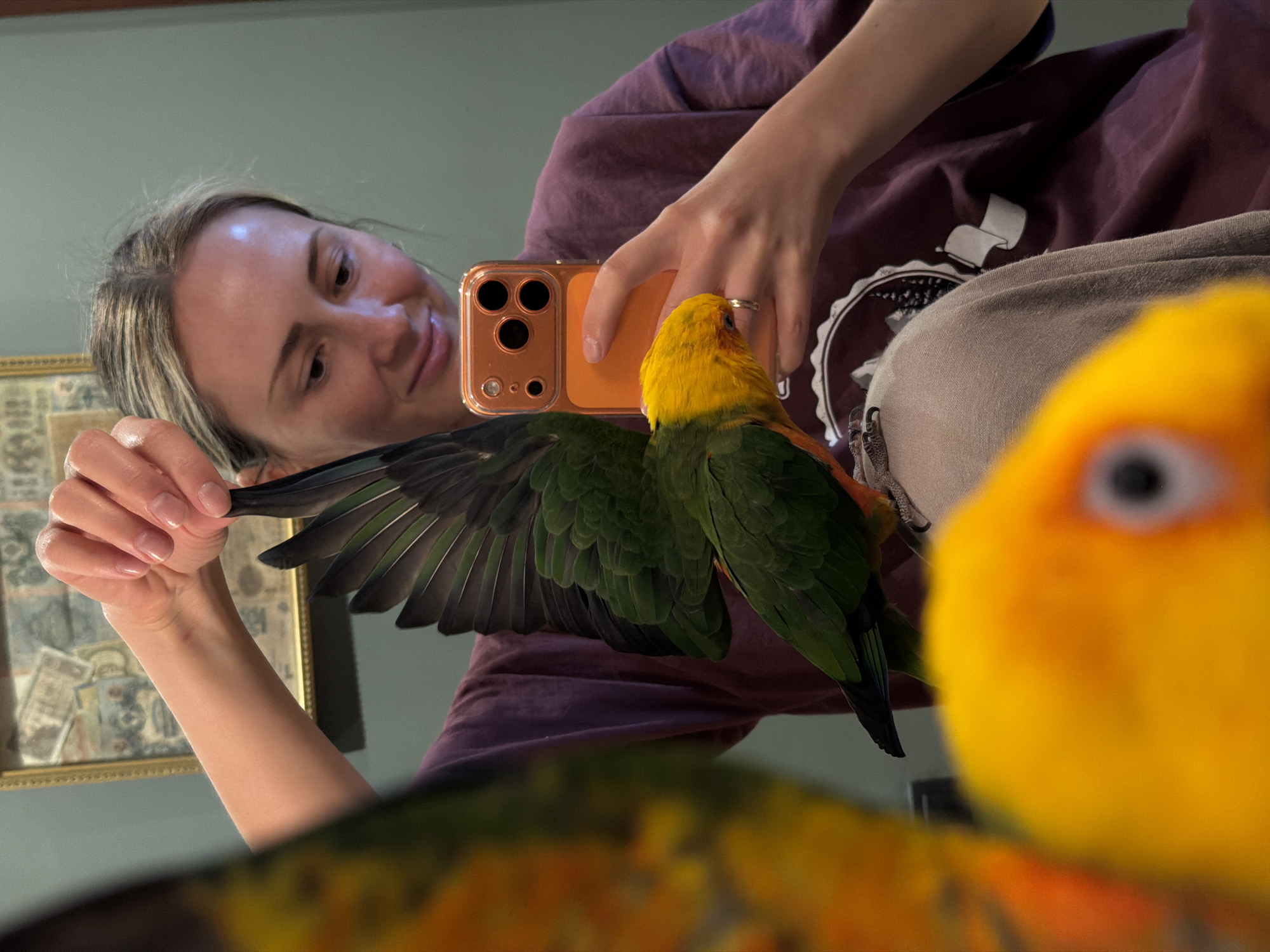 A selfie taken in Khimki, Russia depicts a woman holding a smartphone in her right hand to capture a photo of two parrots. The woman is fair-skinned with blonde hair. She wears a maroon t-shirt. Her phone has an orange case with multiple camera lenses visible. One parrot is perched on her hand, showcasing green and yellow plumage with an extended wing. The second parrot, predominantly yellow, is blurred and closer to the camera in the bottom right corner of the image. The background reveals a partially visible framed image on the wall and a muted gray wall color. The woman is smiling, looking at the parrot on her hand.