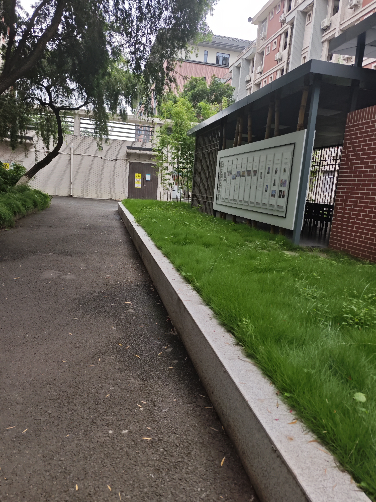 The image depicts an outdoor scene in the city of Chongqing High-tech Zone, China. In the foreground, a paved pathway curves to the left. Along the right side of the pathway is a raised concrete border with a granite-like surface, separating it from a strip of lush green grass. Behind the grass is a covered structure with a dark roof supported by bamboo-like pillars. A large display board with multiple framed photos and text is mounted on the back wall of this structure. To the right of the structure, a brick wall of a building is visible. In the background, a multi-story building with red and white facades and visible air conditioning units is present, along with trees and other greenery. A white brick wall with a doorway is visible on the left side, partially obscured by a large, leafy tree branch. Yellow and blue signage is affixed to the doorway. The overall environment suggests an institutional or academic setting, likely a campus or park area within the high-tech zone.