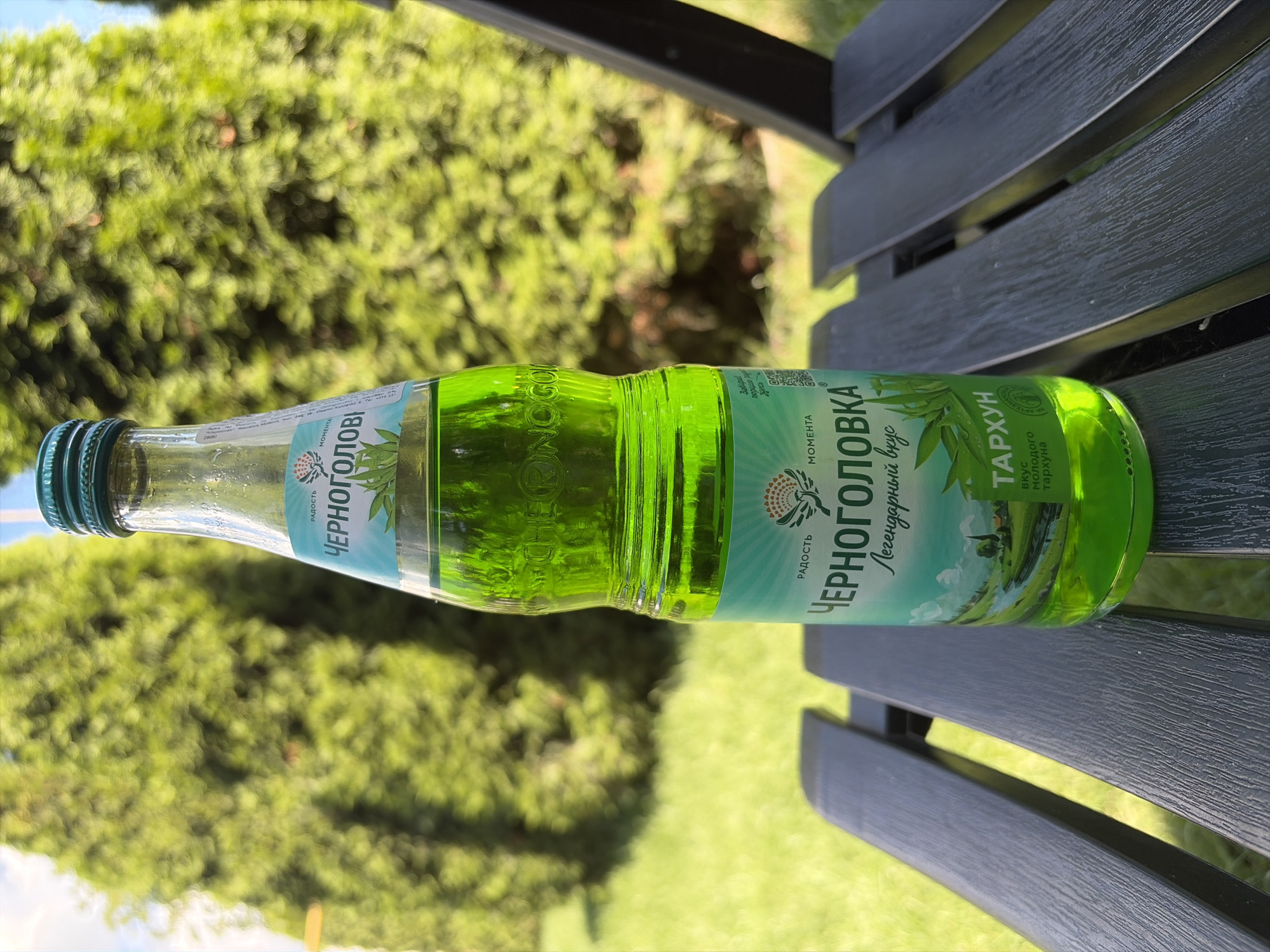 A green glass bottle of Chernogolovka Tarhun soda sits on a dark slatted wooden bench outdoors. The bottle is upright, with its cap on, and filled with a bright green liquid. The label on the bottle features text in Cyrillic and an illustration of a landscape with a river and trees. The background shows blurred green foliage, suggesting a park or garden setting, with a bright sky visible at the top. The image is taken outdoors, likely during the daytime, with natural light illuminating the scene. The bench is placed on a patch of green grass.