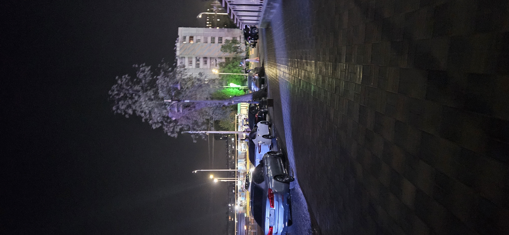 An outdoor, nighttime scene depicts a waterfront promenade in Dushanbe, Tajikistan. The promenade is paved with dark, rectangular tiles, with a light-colored railing to the right. Several cars are parked along the promenade, including a silver BMW in the foreground and a white sedan further back. A large tree with visible branches is illuminated with purple and green lights, casting shadows on the pavement. In the background, a multi-story building with illuminated windows stands against the dark sky. Several people are visible walking and standing near the parked cars and the building. The overall atmosphere is urban and nocturnal, with artificial lighting playing a significant role in illuminating the scene.