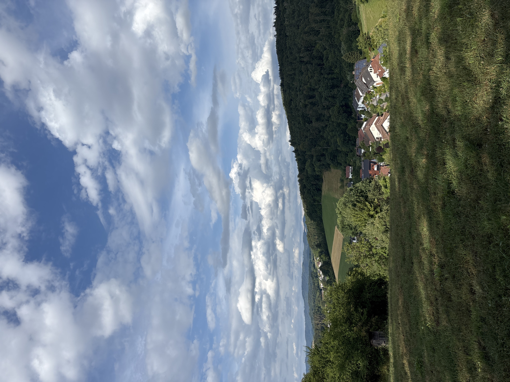 The image depicts a pastoral landscape with a small village nestled among rolling green hills and a dense forest. In the foreground, a grassy field slopes gently downwards, with patches of sunlight and shadow dappling the ground. To the left of the foreground, a small, weathered wooden structure, possibly a shed or a small hut, is partially obscured by lush green trees.
In the middle ground, a cluster of houses forms a village. The houses are characterized by red-tiled roofs and white or light-colored facades. Some of the houses have solar panels installed on their rooftops. The village is situated on a hillside, surrounded by trees and fields. A dirt road or pathway winds through the village.
The background features a vast, dark green forest that covers the crest of a hill. Beyond the forest, further rolling hills are visible, fading into the distance under a bright blue sky dotted with fluffy white clouds. The overall impression is one of rural tranquility and natural beauty. The scene is likely located in or around Birkenau, Germany, given the architectural style of the houses and the typical landscape of the region. There are no people or animals visible in the image.
