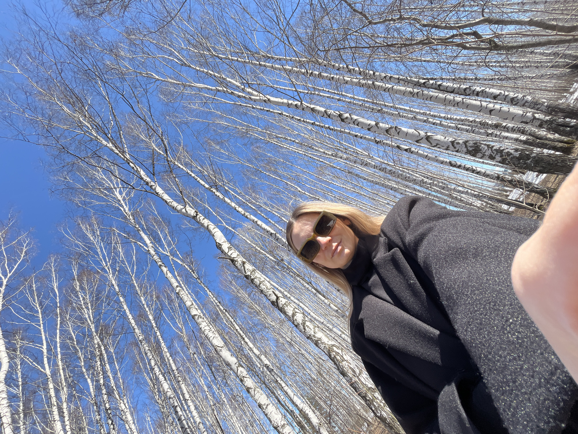 A woman stands in a birch forest in Chaikovsky, Russia, on a sunny day. She wears sunglasses and a black coat. Tall, slender birch trees with white bark stretch upwards towards a bright blue sky. The trees are bare of leaves.