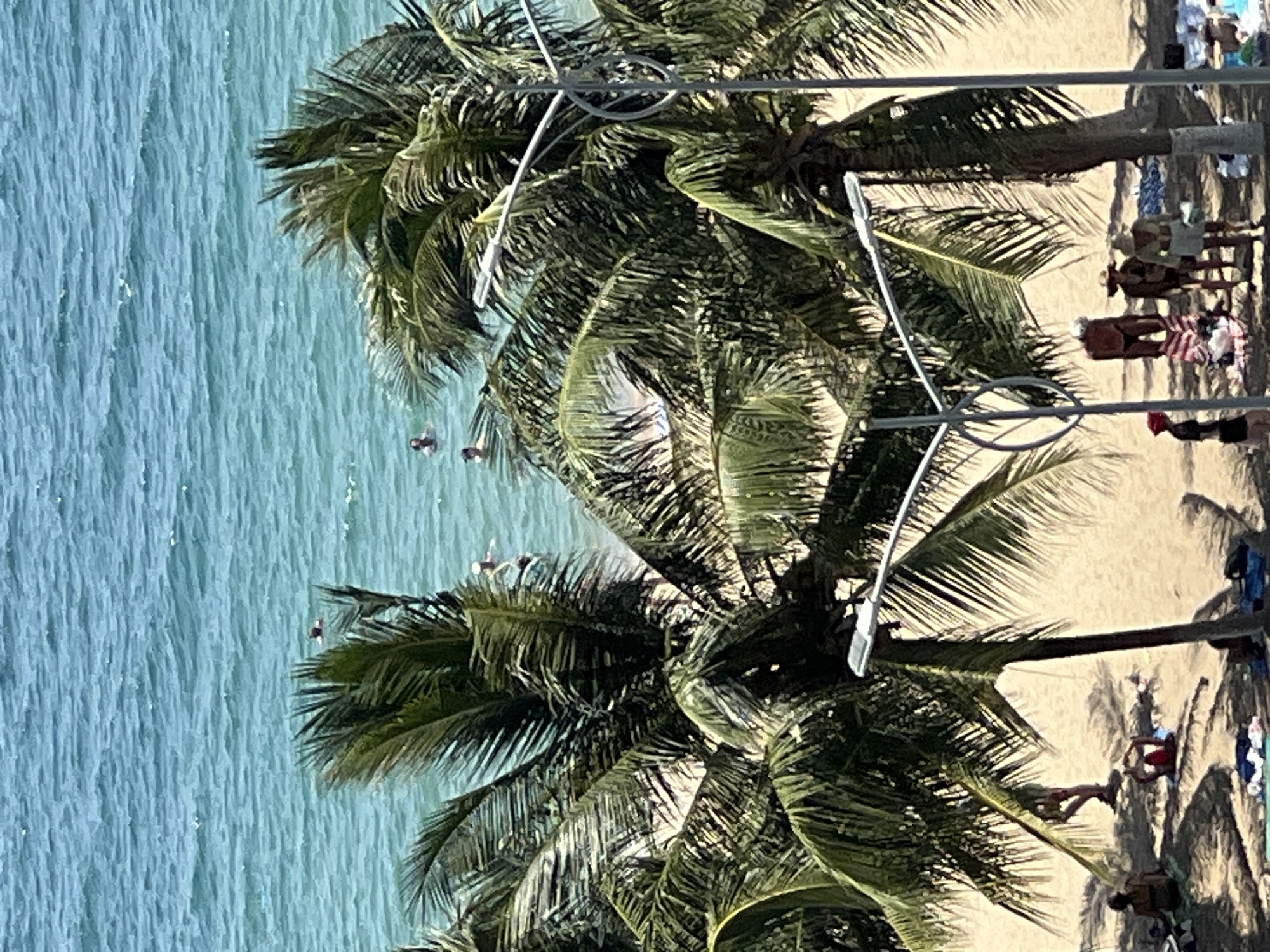 The image captures a tropical beach scene in Nha Trang, Vietnam, with a focus on the coastline and palm trees. The ocean is a vibrant turquoise, with small waves and several people swimming or wading in the water. Two palm trees dominate the foreground, their fronds casting shadows on the sandy beach below. On the beach, several individuals are visible, some are standing and interacting with each other, while others are relaxing on towels or beach chairs. The overall impression is a sunny, leisurely day at the beach.