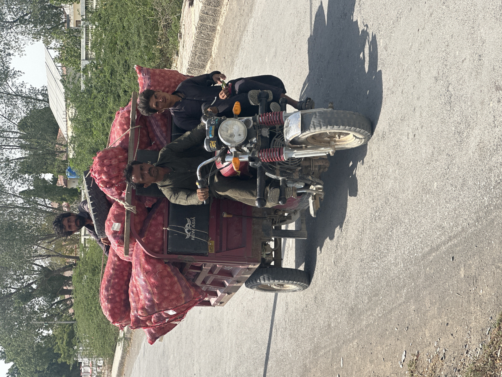 A motorized cargo trike, laden with numerous red mesh bags full of produce, likely onions, travels along a paved road. Three men are visible on the trike. The driver, wearing a green shirt, is at the front, looking towards the viewer with a slight smile. Behind him, in the cargo bed, another man in a dark shirt is seated, also looking at the camera and appearing to hold a piece of green produce. Further back in the cargo area, partially obscured by the red bags, a third man with a beard is visible, also engaging with the camera.
The trike is red, featuring a single front wheel, handlebars, a large headlight, and two rear wheels supporting the cargo bed. A black seat cushion in the cargo area prominently displays the text "NEW ASIA" along with a logo. The road surface is gray and textured. Long, distinct shadows are cast on the ground, indicating bright sunlight and suggesting a time around mid-morning or early afternoon. The background consists of abundant green trees and foliage, with some buildings and structures partially visible through the greenery, hinting at a semi-urban or rural setting. The overall scene captures a candid moment, with the men appearing friendly as they transport their goods.