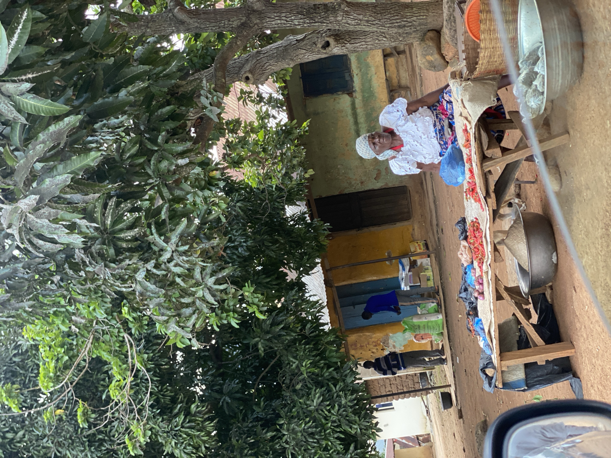 In Madakiya, Nigeria, an outdoor market scene unfolds beneath a large tree. A woman, wearing a white lacy blouse and a patterned skirt, sits behind a wooden table laden with various produce, including red peppers and onions. To her left, two men stand near a yellow building with blue doors, surrounded by sacks and boxes. The ground is covered in reddish-brown dirt, and several large metal bowls, one filled with grain, are scattered around the market. The background reveals more rustic structures and dense foliage, characteristic of a Nigerian village setting.