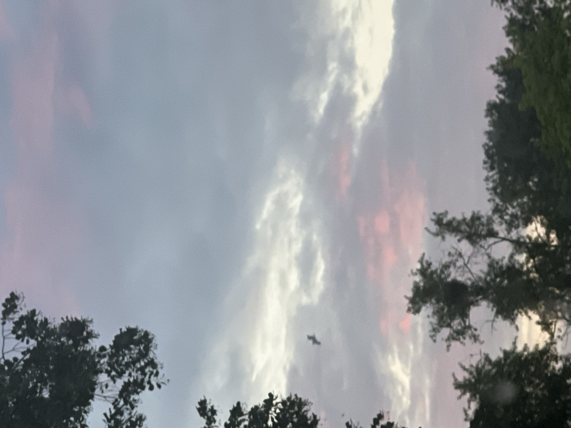 The image shows a sky with clouds during dusk. The clouds are a mix of gray, white, and pink hues, indicating the setting sun. In the upper left quadrant, the dark silhouette of tree branches with leaves is visible, framing the sky. Towards the center left of the image, a small, dark object is flying, possibly a bird or an insect, though its form is indistinct due to distance and resolution. The lower part of the image is dominated by the dark silhouettes of trees against the lighter sky. There is no discernible indication of location within the city of Warsaw, Poland. The scene is a natural outdoor environment, capturing a moment of twilight.