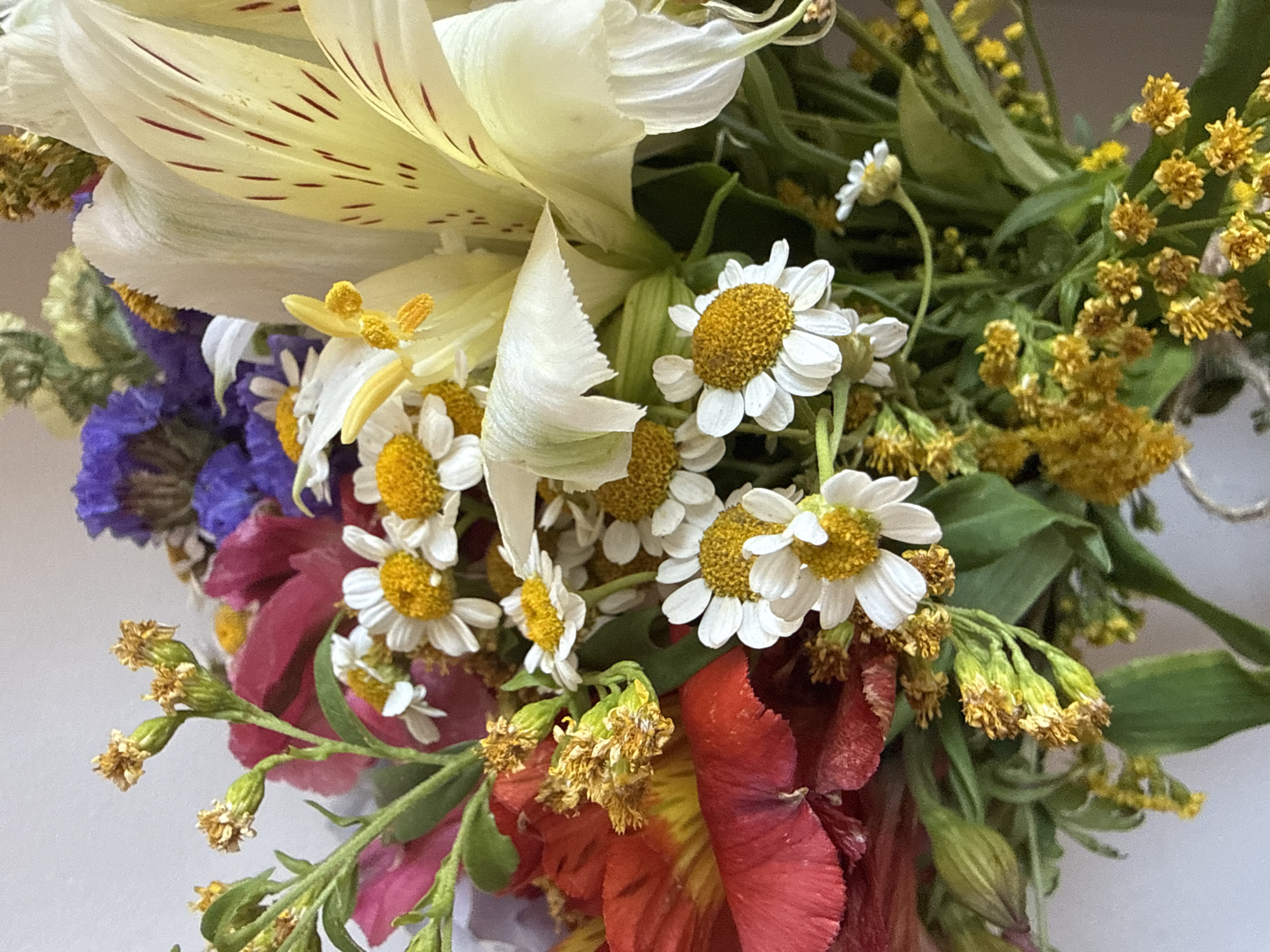 A close-up, eye-level, vertical shot shows a bouquet of assorted flowers against a plain white background. The bouquet is densely packed with various types of flowers, including several small white daisies with yellow centers, large pale yellow lilies with red streaks on their petals, a cluster of purple flowers, and some red flowers. There are also many green stems and leaves, as well as small yellow wildflowers and some dried, brown buds. The lighting is bright, creating some highlights and shadows within the bouquet. There is no discernible indication of location in the city of Sochi, Russia. There are no people or discernible actions taking place.
