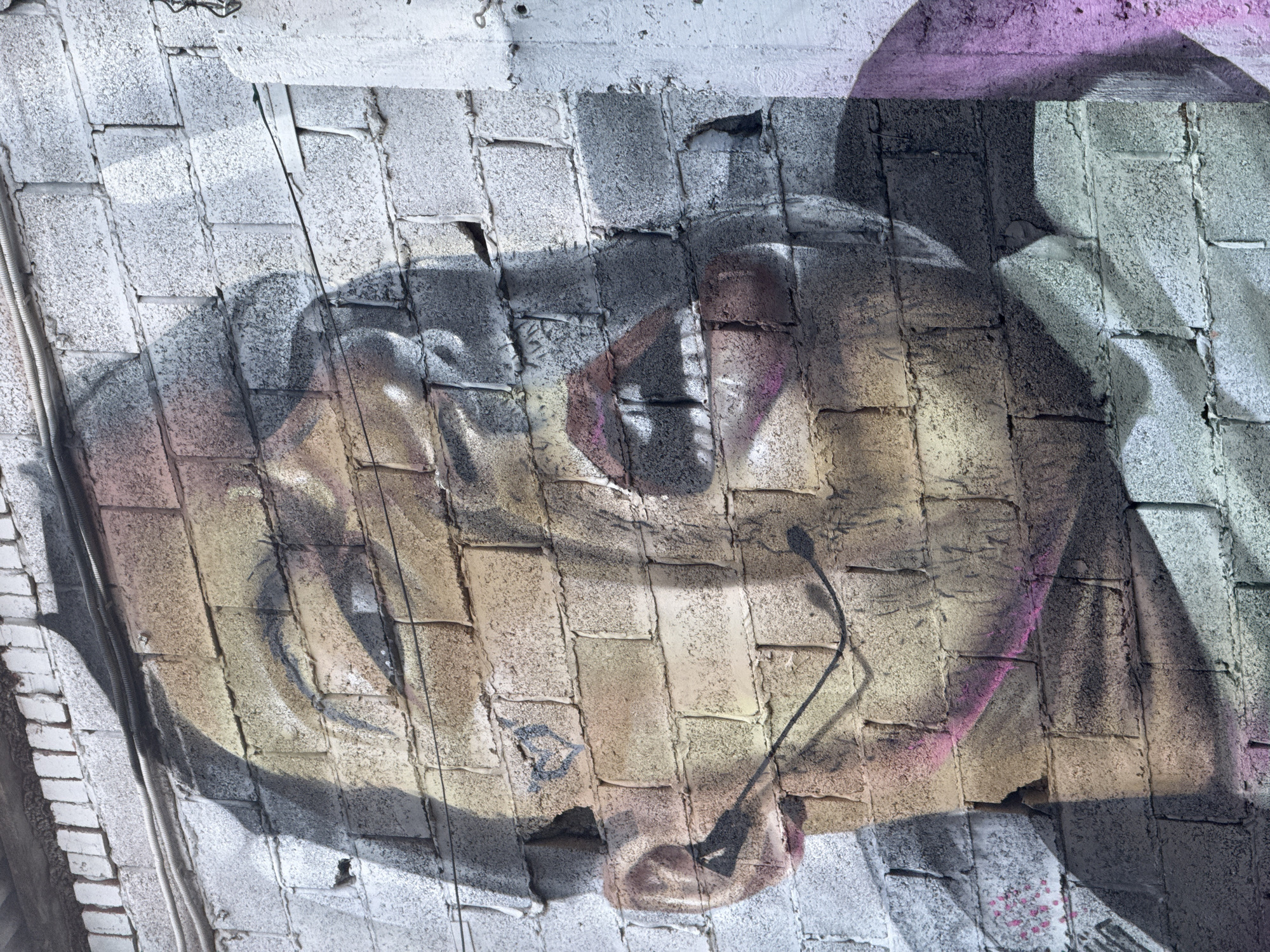 The image shows a graffiti mural on a cinder block wall in Krasnodar, Russia. The mural depicts a stylized portrait of a person with an open mouth and closed eyes. The artwork features muted colors with some pink and yellow accents. There are electrical wires and conduits running horizontally across the wall above and around the mural. The wall itself is weathered and shows signs of age.