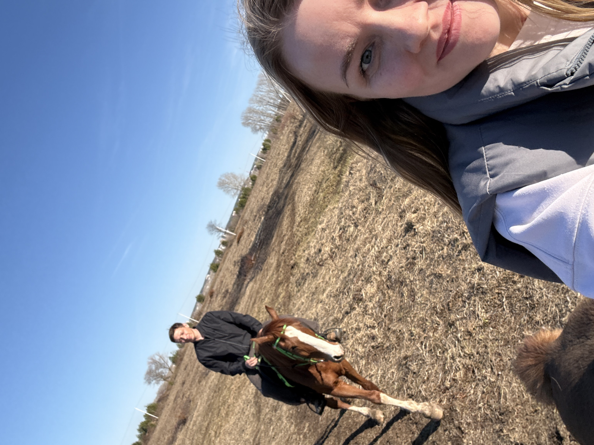This slightly tilted, outdoor selfie captures a woman in the foreground and a man riding a horse in the background under a clear, bright blue sky. The woman, positioned in the upper right, looks directly at the camera, showing her light-colored eyes, long brown hair, and lips with faint lipstick. She wears a grey puffer vest over a white long-sleeved top.
Further back and to the left, a man in a black jacket and dark pants is riding a brown horse. The horse has a distinctive white blaze on its face and white socks on its lower legs, wearing a bright green halter or bridle. To the right of this horse, the fluffy brown tail and partial hindquarters of a second animal are visible.
The scene is set in an open, rural landscape with dry, light brown grass covering the ground, suggesting late winter or early spring. Scattered bare trees, typical of deciduous species, line the distant horizon, along with what appear to be utility poles or fence posts. The bright sunlight indicates it is daytime. The overall impression is one of an outdoor equestrian activity on a clear day in Noviy, Russia. There is no visible text in the image.