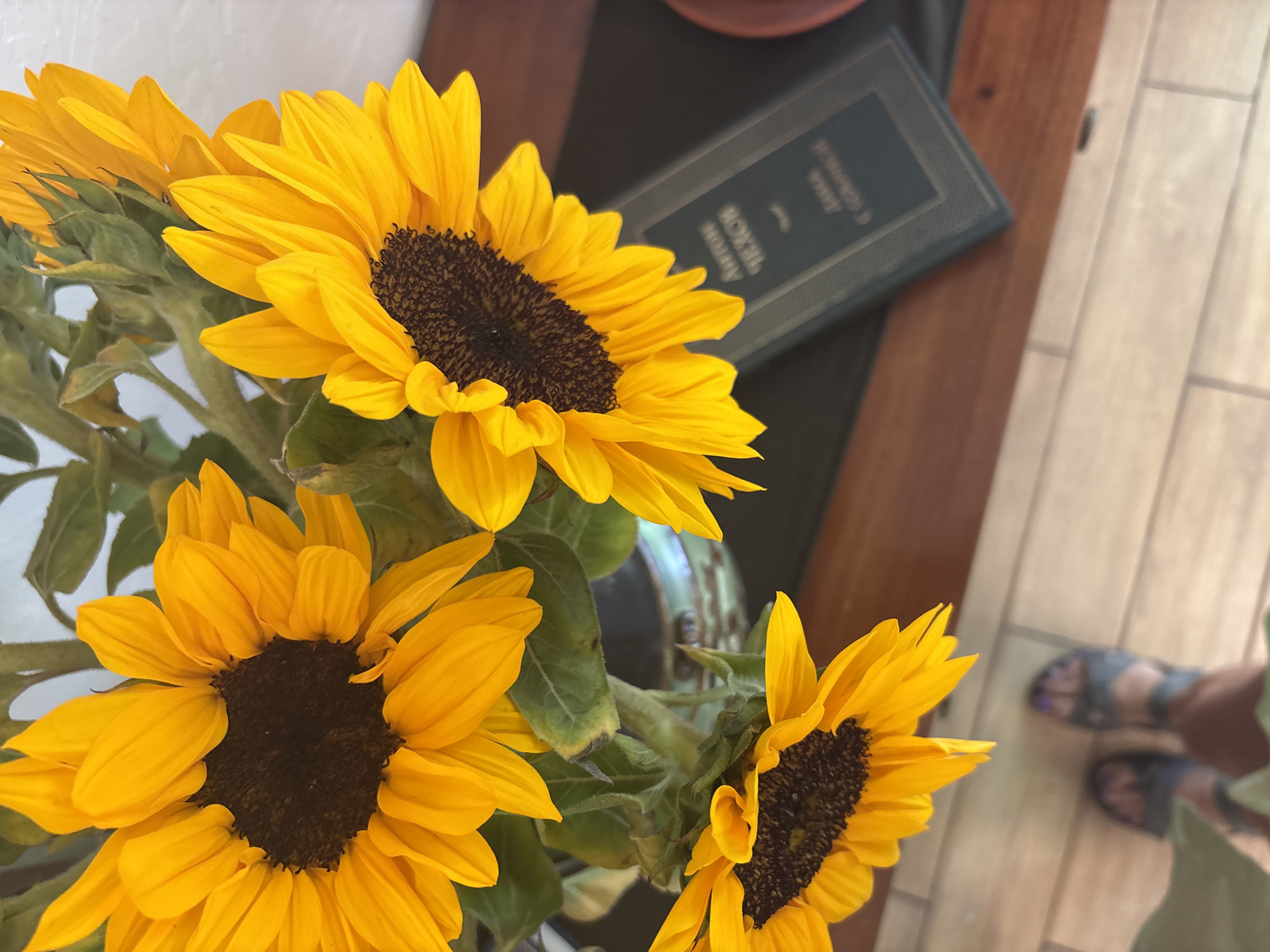 A high-angle shot shows a bouquet of vibrant yellow sunflowers, filling the left side of the frame. Their dark brown centers contrast sharply with the bright petals. The background is a mix of indoor elements, including a dark green book lying on a dark surface, presumably a table or desk. A section of light-colored wood-tiled flooring is visible on the right side, with a pair of feet wearing sandals and part of a green garment at the lower right corner. The location is not discernible from the image. No evidence indicates the city of Nha Trang, Vietnam.