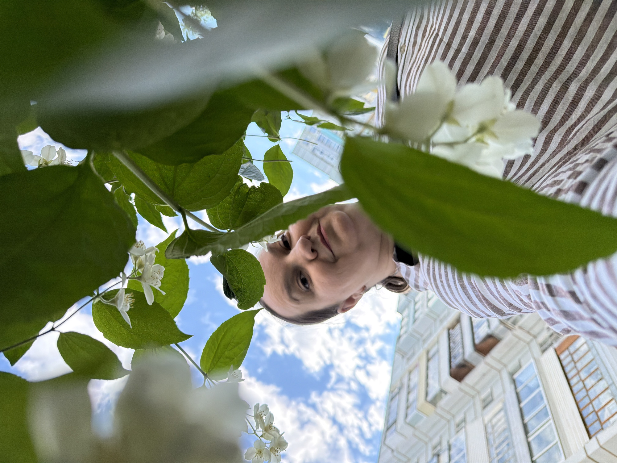 An extreme low-angle, wide shot captures a woman from the chest up, positioned in the foreground, looking down with a slight smile. She wears a brown and white striped shirt. The perspective is from behind a cluster of green leaves and white flowers, which partially obscure the woman and the background. The background shows a modern, light-colored building with numerous windows, angled upwards against a blue sky with white clouds. The architectural style of the building suggests it might be a residential or office building located in the city of Chaikovsky, Russia, given the context provided by the prompt, though the image itself does not contain definitive identifiers for its precise location.