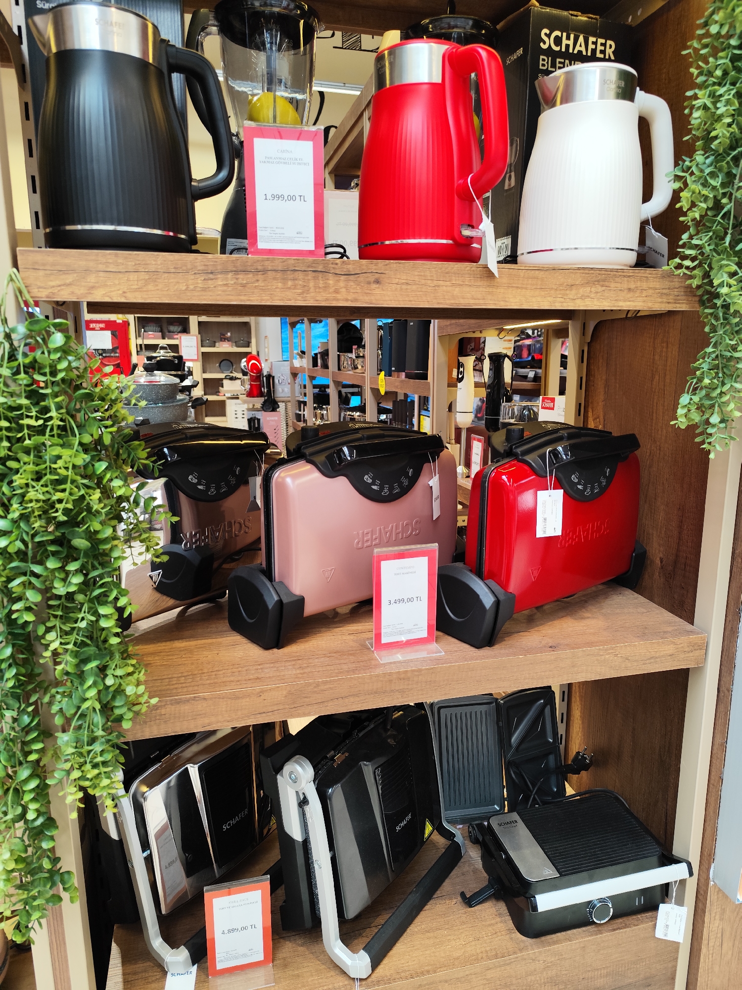 The image shows a store display shelf featuring various kitchen appliances by the brand SCHAFER, with price tags in Turkish Lira (TL).
On the top shelf, there are electric kettles in black, red, and white, and a blender with a lemon inside. The middle shelf displays electric sandwich makers in silver, pink, and red. The bottom shelf contains grill and toaster appliances in black and silver. A hanging plant is seen on the left side of the shelves, and there are reflections in the store windows, indicating an interior setting. The exact city and location are unknown.
