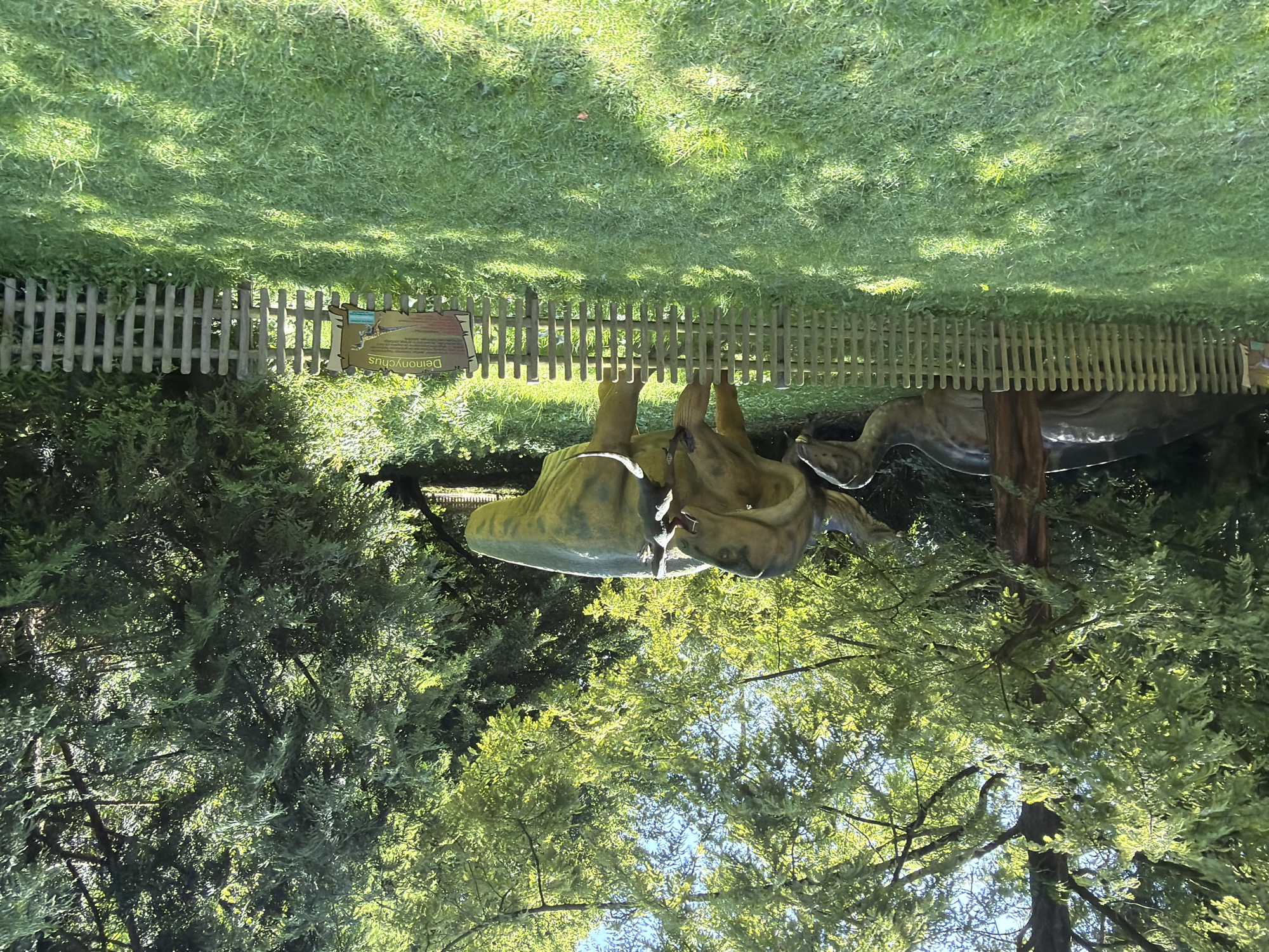 The image depicts an outdoor scene, likely in a park or an exhibit. In the foreground, a dinosaur statue, specifically a Deinonychus, is prominently displayed. The statue is a realistic replica, rendered in muted green and yellow tones, and appears to be posed dynamically. Behind the dinosaur, a weathered wooden fence separates the exhibit from a grassy area covered with dappled sunlight, suggesting it is daytime with clear skies. Lush green trees with dense foliage frame the scene, their leaves catching the bright sunlight.
To the left of the dinosaur statue and behind the fence, a small informational sign is visible. Although slightly obscured, the text "Deinonychus" is clearly legible, identifying the dinosaur. The sign also includes an illustration of the dinosaur. The overall impression is one of a sunny day in a naturalistic setting, designed for educational or recreational purposes. The image appears to have been taken in Tolk, Germany, based on the provided location context.