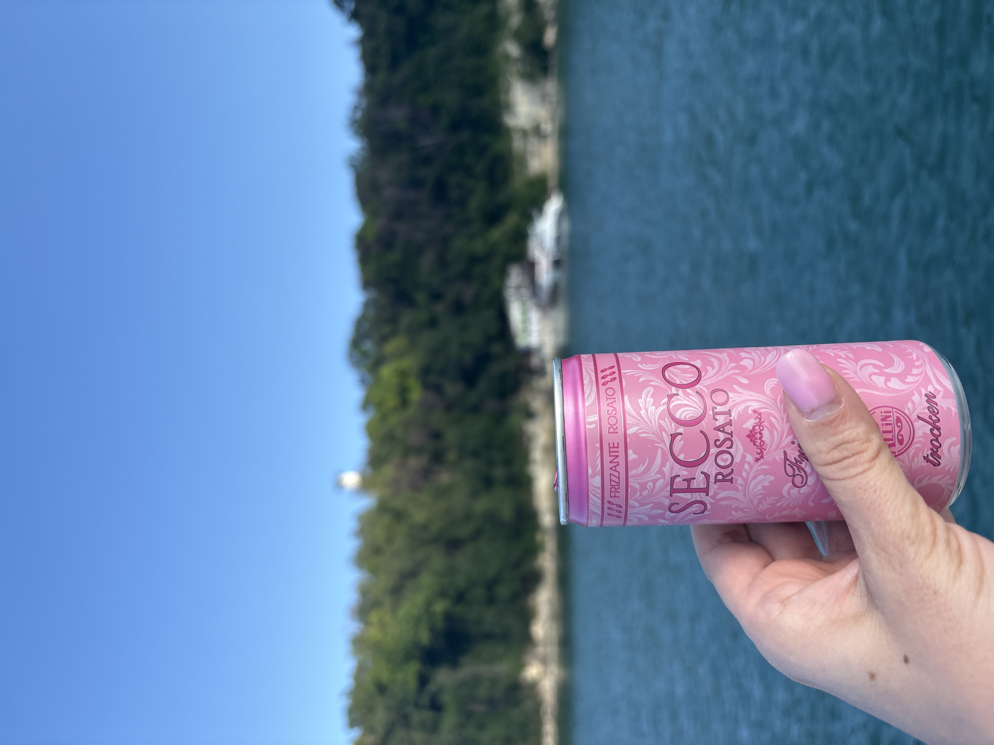 A hand with light skin and a pink fingernail is holding a pink aluminum can with a white patterned design and text that reads "SECCO ROSATO". The can is positioned in the foreground, and the background features a body of blue water, a tree-covered hill, and a clear blue sky. In the distance, a white boat is visible on the water.