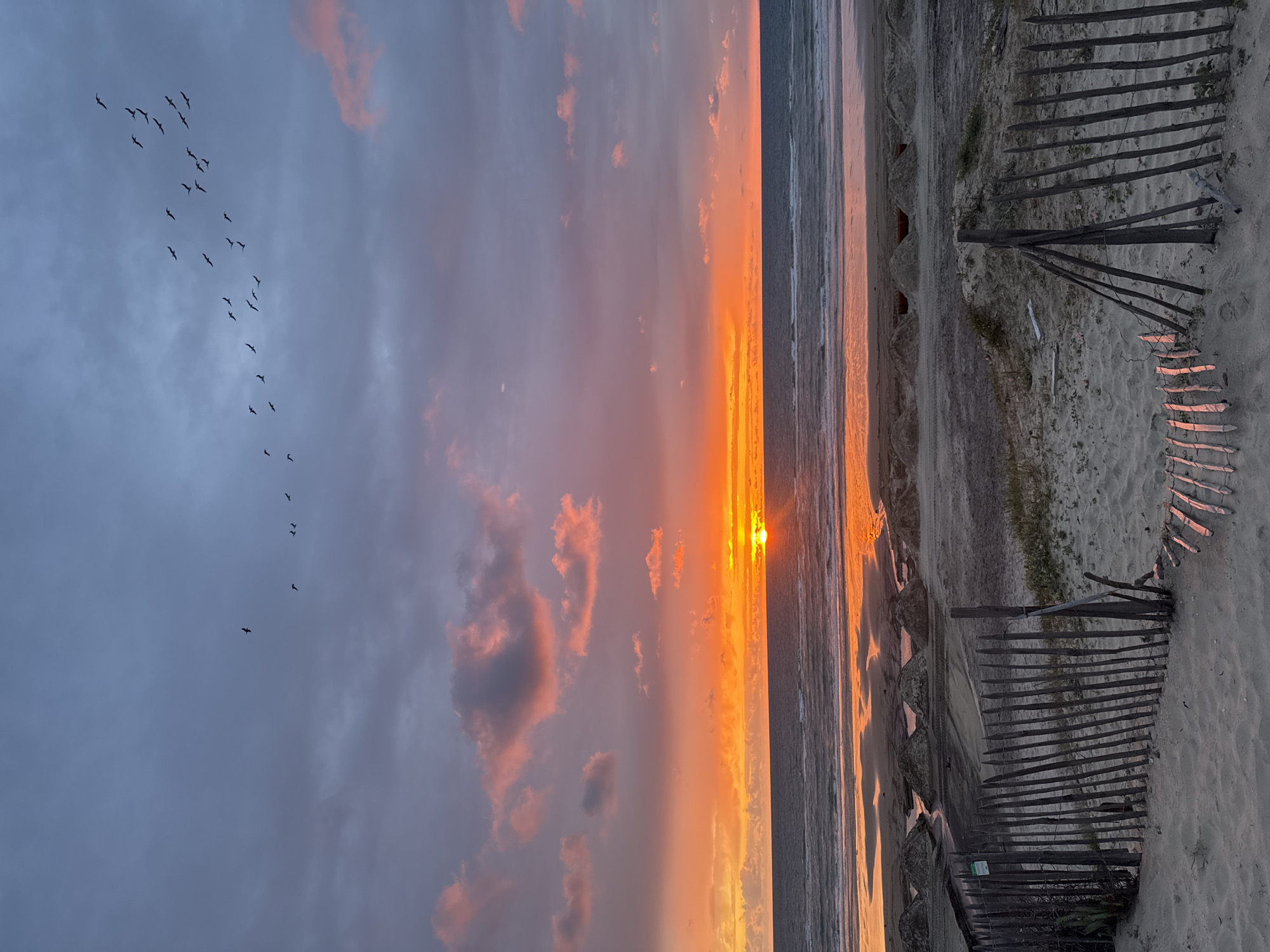 The image captures a sunset scene at Soulac-sur-Mer, France, featuring a beach, ocean, and sky. To the left, a flock of birds is silhouetted against the sky, where shades of gray and pink mix with orange-tinted clouds. The sun, a bright orb, is positioned on the horizon, casting a warm, vibrant glow on the water. The beach is lined with wooden fences, and vegetation is visible along the edge of the sand. The perspective gives a vertical orientation to the horizontal landscape.