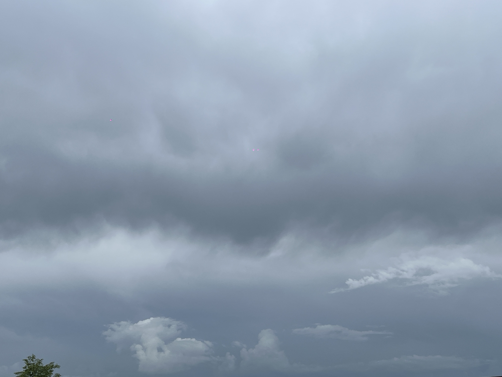 The image shows a cloudy sky, predominantly gray, with variations in shading indicating cloud formations. There's a partial view of a tree or shrub at the bottom left corner. Two faintly pink areas are visible within the cloud cover in the upper portion of the image. The location is Novopokrovskaya, Russia.