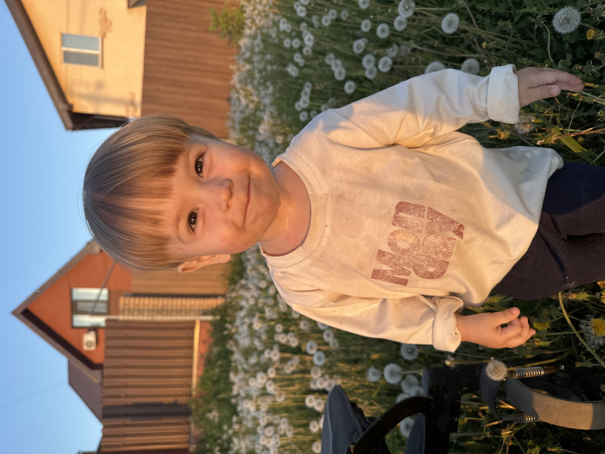 A young child with blond hair is standing in a field of dandelions. The child is wearing a white long-sleeved shirt with a reddish-brown design on the front and dark blue pants. The child is looking at the camera with a slight smile, and their right hand is extended towards the dandelions. In the background, there is a house with a brown roof and yellow siding. The location is a field of dandelions near a house, likely in a residential area. It is outdoors and appears to be a sunny day. There is a black stroller or bike wheel visible at the bottom of the frame.