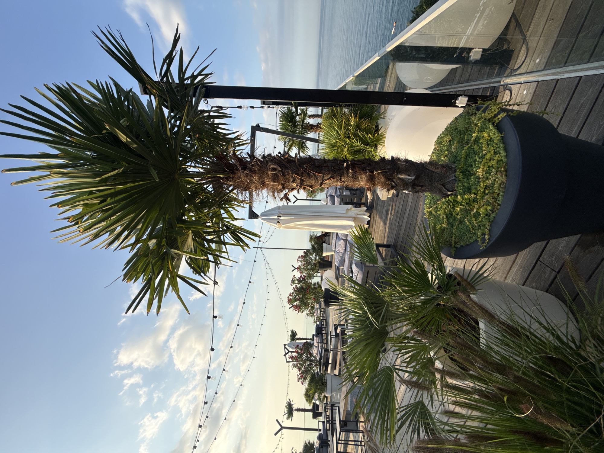 A rooftop restaurant in Yalta, Ukraine, features an outdoor seating area with a view of the sea. The space is decorated with several potted plants, including palm trees and flowering shrubs, as well as string lights overhead. Wooden decking forms the floor, and a glass railing separates the seating area from the edge of the rooftop. Several umbrellas are also present, suggesting that the space can be used even in inclement weather. The sky is clear and blue with a few wispy clouds. The sea is calm and extends to the horizon. There are no people visible in the image.