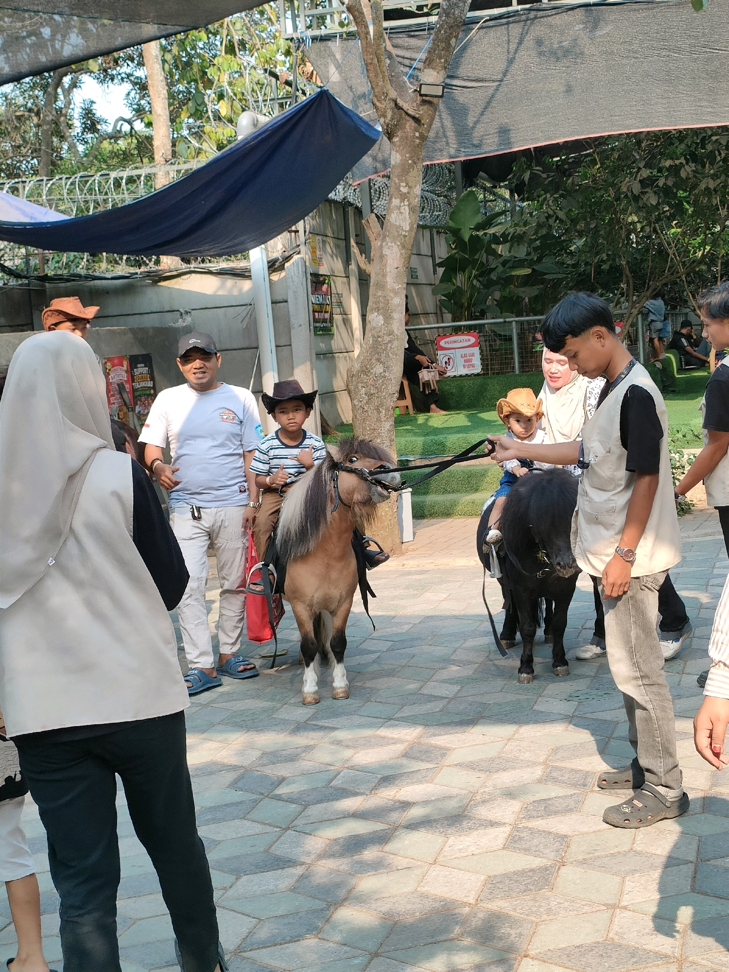 In a paved outdoor area in Cileduk, Indonesia, several individuals are gathered around two small ponies. In the foreground, a person wearing a white hijab and black pants stands with their back to the camera, holding the reins of a tan and brown miniature horse. A young boy wearing a striped shirt and a cowboy hat sits on this pony, giving a thumbs-up gesture. Beside the pony, a man in a white t-shirt and light-colored pants gestures with his hands, seemingly addressing others. To the right, a young person in a light-colored vest over a black shirt holds the reins of a black pony. A toddler wearing a cowboy hat is seated on the black pony, looking forward. Another woman in a hijab stands behind the toddler, looking at the pony. In the background, more people are visible, some sitting on benches, and dense foliage creates a natural backdrop. Overhead, a dark blue tarp is stretched between structures, providing shade. The ground is paved with a geometric pattern of light and dark tiles.