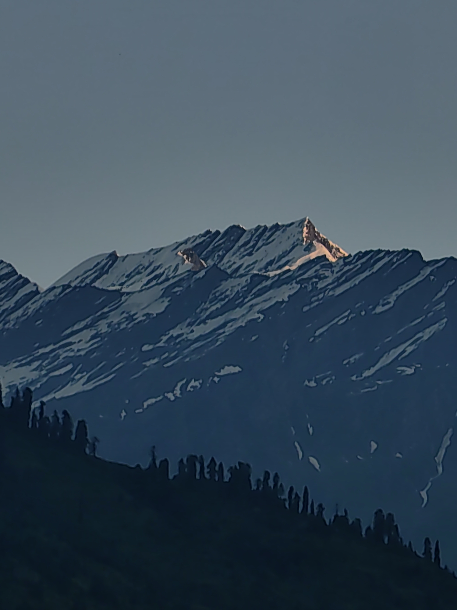 A panoramic view of snow-capped mountains is captured at dusk, with the last rays of sunlight illuminating the peaks in golden hues. The foreground features a silhouetted landscape of pine trees, indicative of a mountain region. The sky is a gradient of deep blue, fading into a lighter shade towards the horizon. The image, taken near Vashisht, India, showcases the serene beauty of the Himalayas.