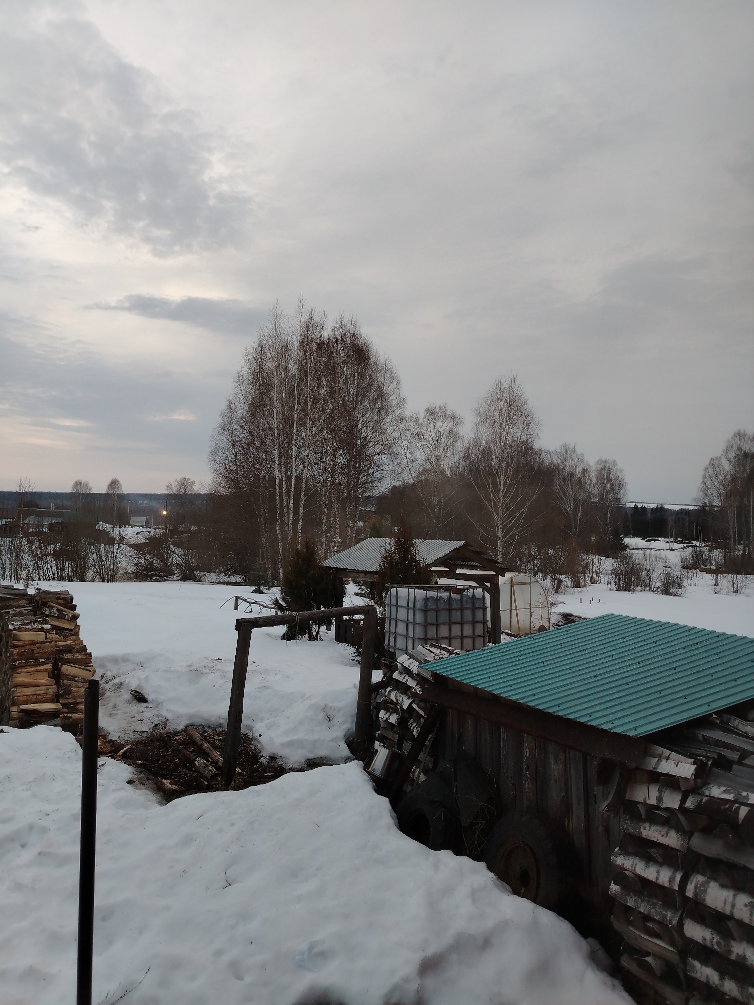 The image displays a wide-angle exterior view of a snow-covered rural landscape in Nizhnyaya Gar', Russia, under an overcast, gray sky, indicating late afternoon or dusk.
In the foreground to the left, a large, organized stack of split firewood, primarily birch logs, rests directly on the snow-covered ground. A single black, vertical metal pipe or post extends upwards from the lower left edge of the frame. Adjacent to the firewood, an irregular patch of dark, exposed earth and organic debris is visible amidst the snow. Towards the right foreground, a rustic wooden lean-to or shed, topped with a dark teal corrugated metal roof, is partially visible. The side of this structure is laden with additional stacked logs and several old vehicle tires. Two dark, rough-hewn wooden posts, appearing to be part of a fence or gateway, are centrally positioned.
The midground presents an expansive, snow-covered field or yard, sparsely dotted with numerous bare deciduous trees, prominently birches, and several smaller evergreen shrubs. Within this area, a translucent white hoop greenhouse structure and a large white Intermediate Bulk Container (IBC) tank, enclosed in a metal cage, are clearly visible.
In the distant background, a dense line of bare trees forms the horizon against the lighter portion of the sky. Faint outlines of distant buildings or structures are discernible behind the treeline, and a distinct, bright artificial light source is visible within the distant treeline, suggesting a street light or building illumination. No human figures or discernible animal life are present in the scene.
