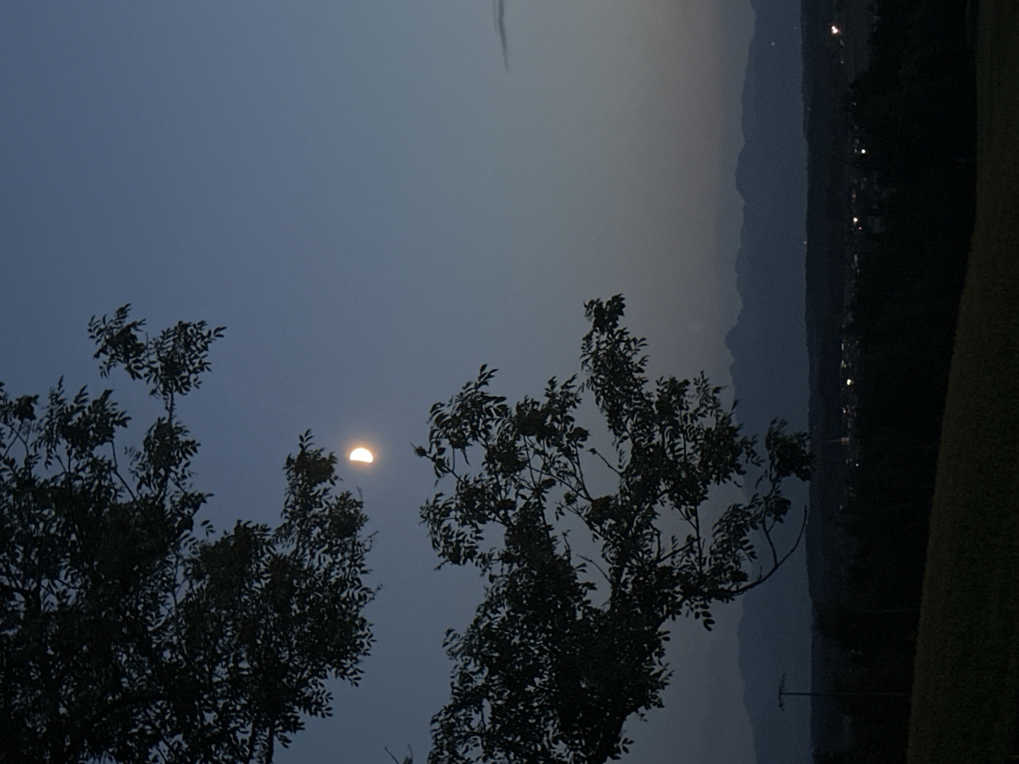 The image depicts a twilight scene with a crescent moon visible in a deep blue sky, partially obscured by the dark silhouette of tree branches and leaves. In the distance, a mountain range forms a dark, hazy backdrop. Below the mountains, a faint line of lights suggests a settlement, possibly the town of Amerang, Germany. The foreground is dark, with what appears to be a grassy hill. The overall impression is one of a serene, natural landscape at dusk. There are no people or animals visible in the image.