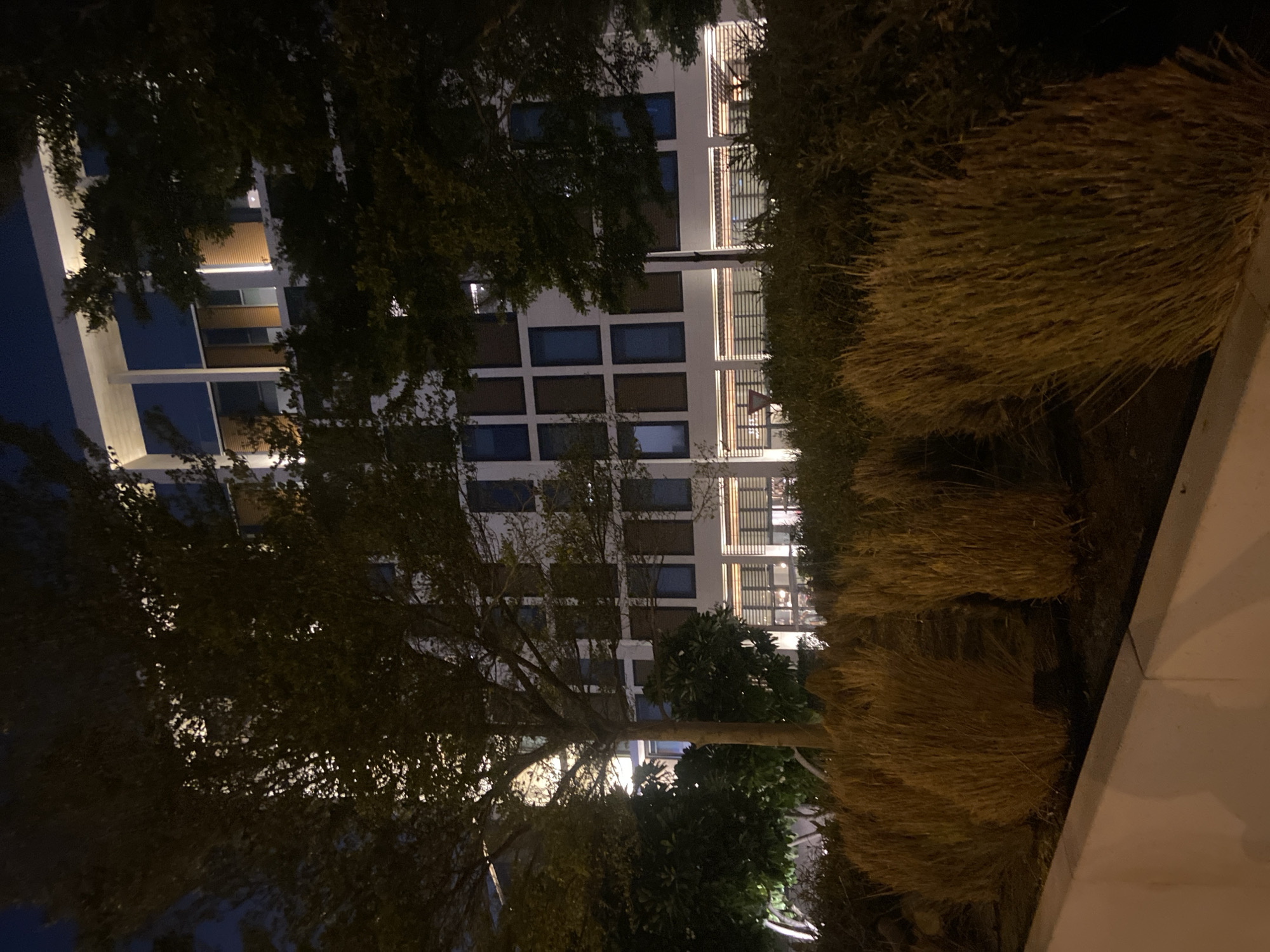 The image depicts the exterior of a modern building at night in Deira, United Arab Emirates. The building features a white facade with a grid of dark windows and some illuminated areas. Trees and dry, golden grass are in the foreground, partially obscuring the view of the building. The lighting suggests artificial illumination from within the building and possibly from streetlights. There are no people or vehicles visible in the frame. The overall atmosphere is dark and somewhat stark, with the contrast between the lit windows and the shadowed foliage.