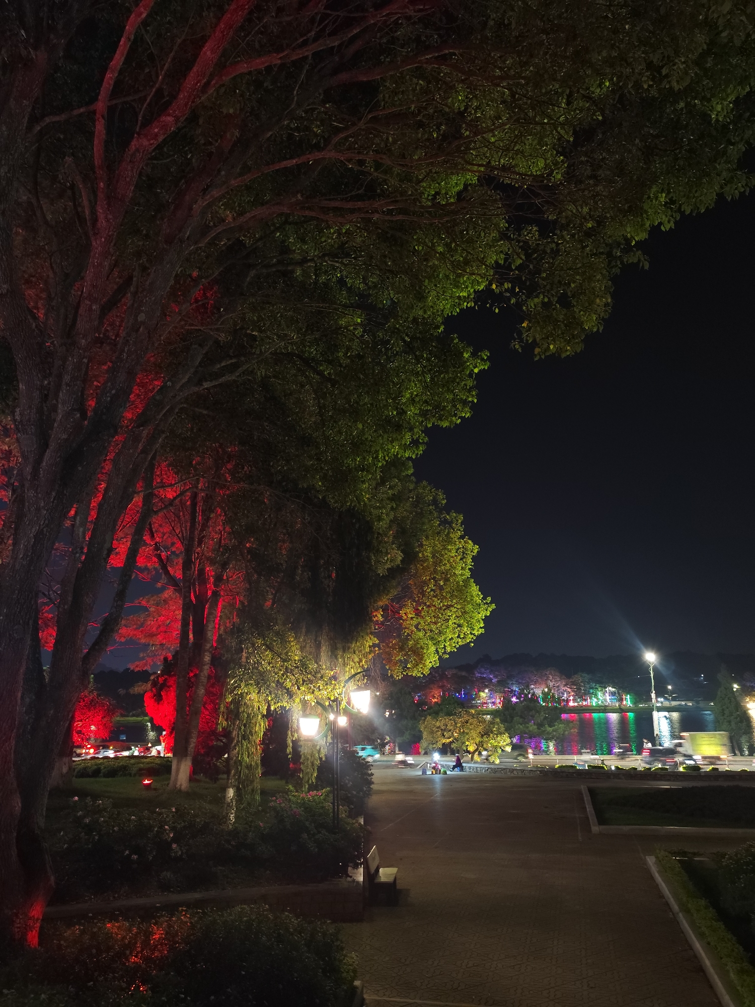 The image captures a night scene in Da Lat, Vietnam. In the foreground, trees line a pathway, illuminated by red lights on their trunks, transitioning to green leaves at the top. A row of street lamps provides additional lighting, illuminating the path and the surrounding shrubbery. The pathway, likely paved, leads towards a body of water, possibly Xuan Huong Lake, where reflections of colorful lights from the opposite shore are visible. Cars and other vehicles can be seen moving along the road adjacent to the lake. On the opposite shore, there are trees and buildings adorned with colorful lights. The sky above is dark, with a few hints of light on the horizon.