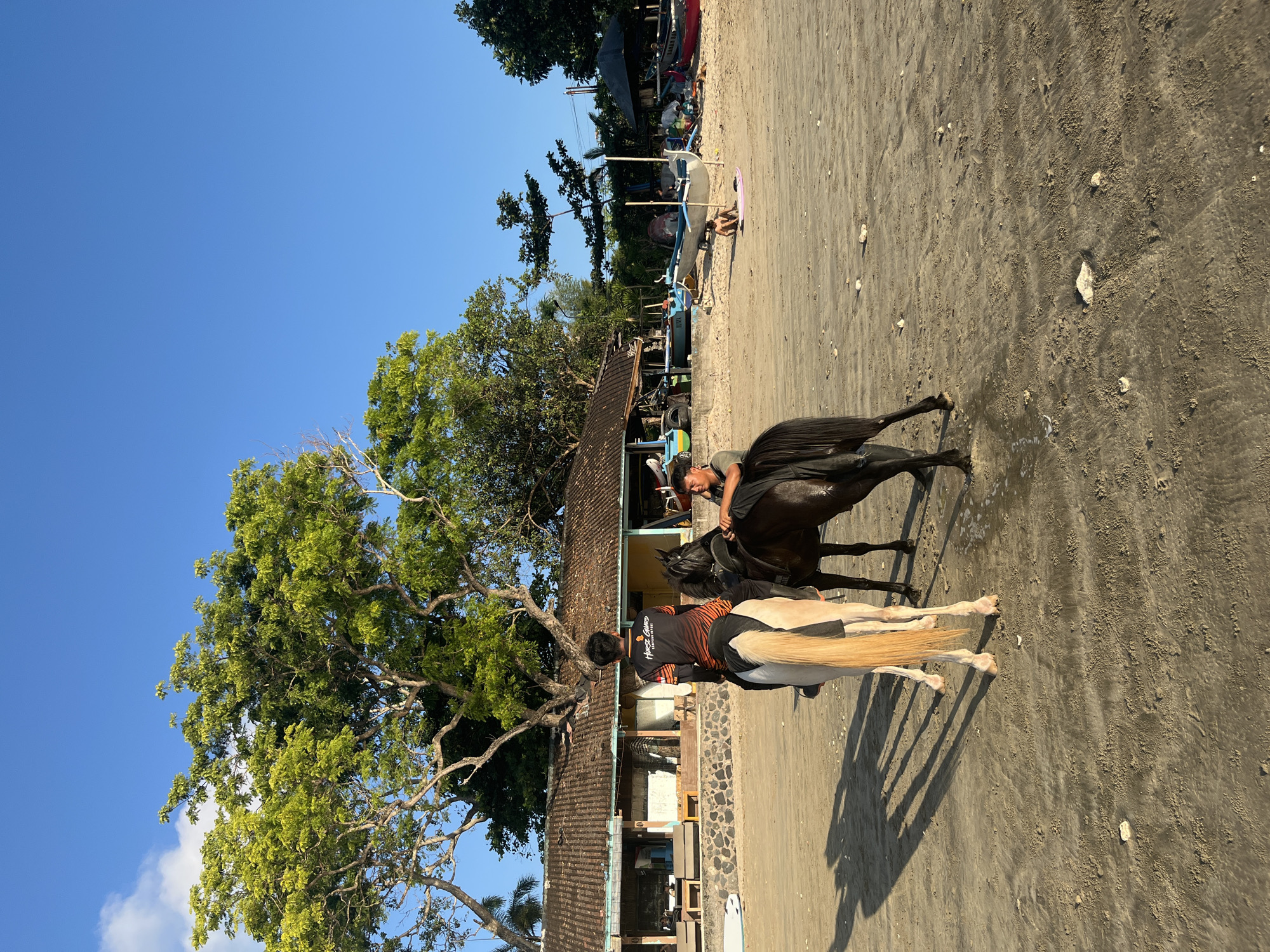 On a sandy beach in Kuta Selatan, Indonesia, two young men are interacting with two horses. One horse, a light color with a black mane and tail, is being ridden by a person wearing an orange and black t-shirt. The second horse, dark brown or black, is standing next to the first, and a second young man, wearing a gray t-shirt, is leaning over and touching its neck. The beach is relatively flat with some scattered rocks and debris. In the background, there are several buildings with tiled roofs, possibly serving as shops or accommodations, and a variety of small boats are pulled up on the sand. Lush green trees with full canopies are visible behind the buildings, and the sky is a clear, bright blue. The overall lighting suggests it is either early morning or late afternoon.