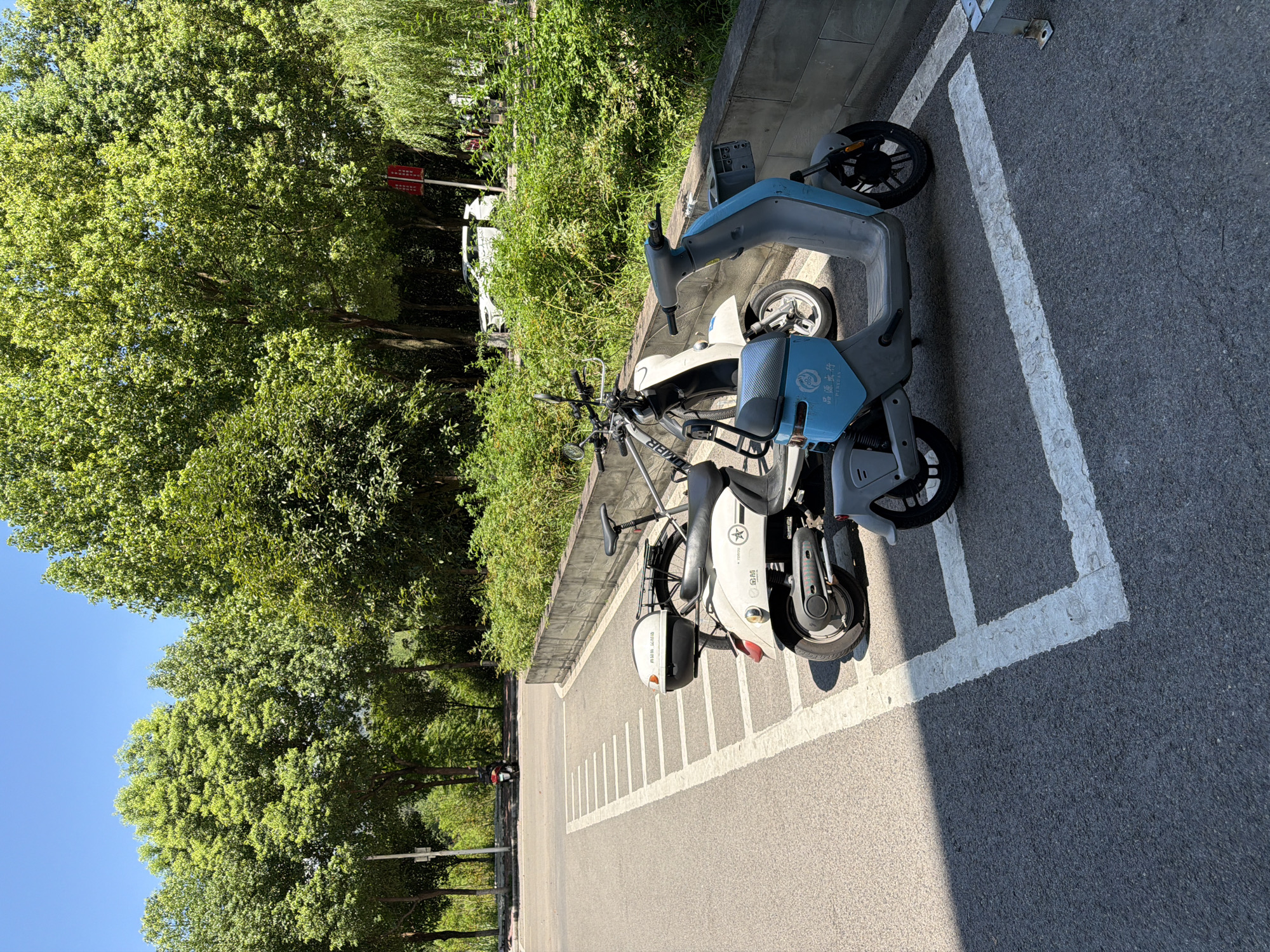 In Jiangjin, China, on a sunny day, two electric scooters are parked in designated spots on an asphalt surface marked with white lines. The scooter in the foreground is light blue and gray, while the one behind it is white and black. Both scooters have storage compartments. Behind the scooters, a low concrete wall separates the parking area from a lush green embankment covered in dense vegetation and trees. In the background, more trees create a leafy canopy, and a white car is visible on a distant road. The sky is clear and blue. A single red motorcycle is parked further down the road in the distance.
