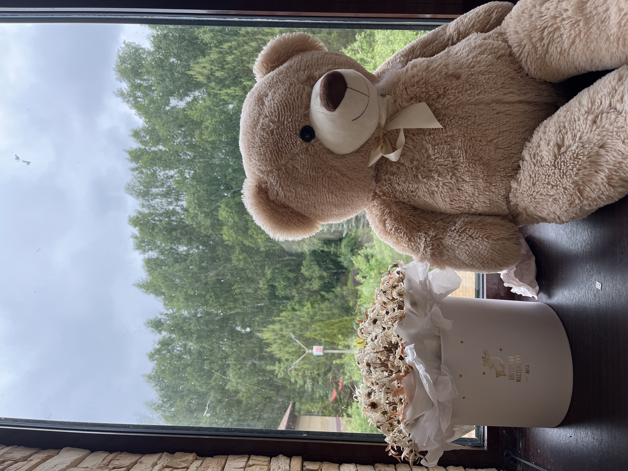 A large, light brown teddy bear with dark button eyes, a brown nose, and a light beige bow is prominently featured on a dark window sill, sharing the space with a white cylindrical box holding dried flowers. The teddy bear occupies the right side of the frame, its plush fur textured and soft.
Through the window, a verdant landscape of dense green trees stretches under an overcast and cloudy sky, suggesting a daytime scene with diffused light. The window pane itself shows some dust and minor smudges. Below the window, a section of a textured wall, possibly made of stacked stone or brick, is visible in the lower left corner.
The white cylindrical box, situated to the left of the teddy bear, is filled with numerous dried, light-colored flowers, possibly daisies, intermingled with dried foliage. White tissue paper elegantly frames the top of the floral arrangement. On the side of the box, a golden bird or dove logo is visible, accompanied by Cyrillic text that reads "ЦВЕТОЧНАЯ МАСТЕРСКАЯ" (Flower Workshop) and the number "№2".
The arrangement creates a static, gentle tableau, overlooking a natural setting, likely in Ореховка, Russia. The dried flowers hint at a preserved memory or lasting gift.