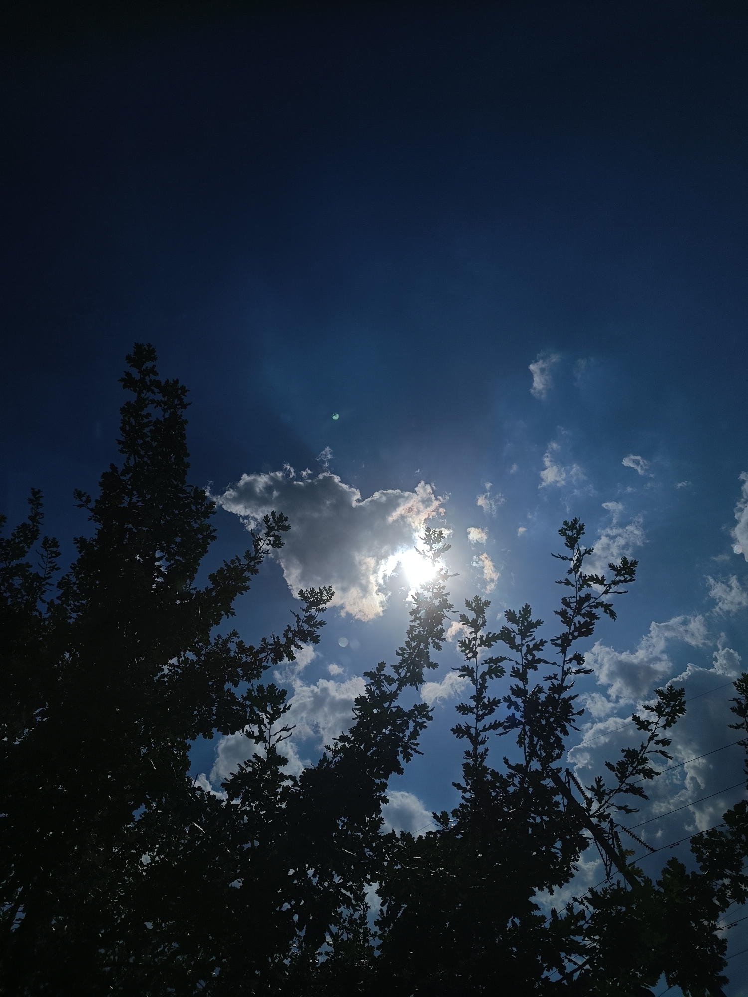 The image captures a view of the sky from below, looking upwards through the silhouettes of tree branches. The sky is a deep blue, with scattered white clouds. The sun is partially obscured by a cloud, creating a bright halo and rays of light that pierce through the atmosphere. The leaves of the trees are dark, almost black, due to the backlighting. There are no people or specific landmarks visible in this image that would indicate a specific location within the city of Zaporizhzhia, Ukraine. The scene appears to be an outdoor setting, likely a park or a natural area within the city, during daylight hours with partly cloudy conditions.