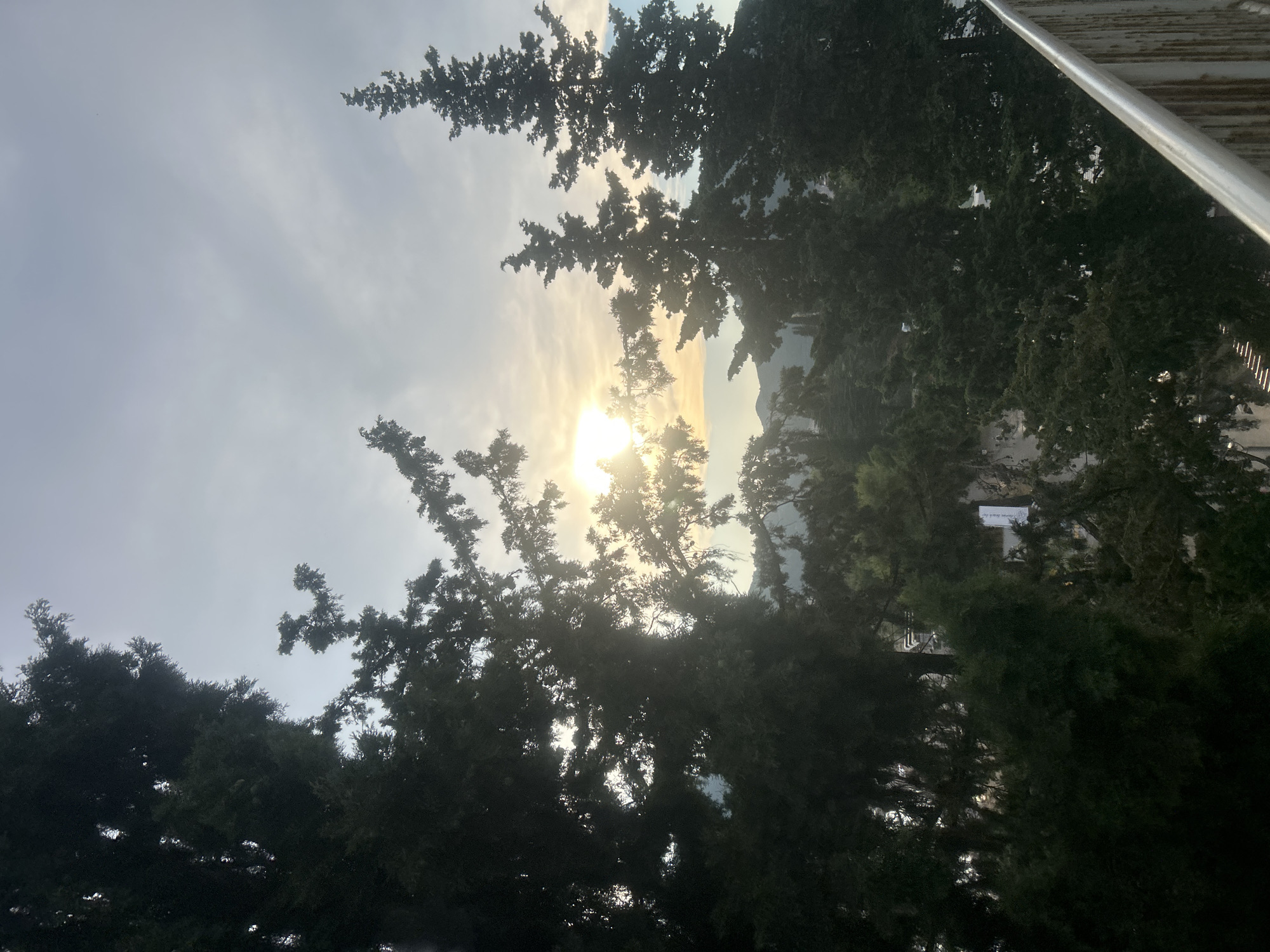 The image captures a view through the branches of dark green, coniferous trees, likely cypress trees, looking upwards towards the sky. The sun is bright and partially obscured by clouds and the tree foliage, indicating it is likely late afternoon or early morning. The sun's rays create a bright halo effect and cast a warm glow on the scene. In the background, distant hills or mountains can be seen, softened by atmospheric haze. A modern, metallic structure, possibly a railing or part of a building, is visible on the right side of the image. The overall impression is one of a serene, natural setting, with the sunlight filtering through the trees creating a peaceful and somewhat dramatic atmosphere. The location is Budva, Montenegro. No people or specific events are discernible. There is no visible text in the image.