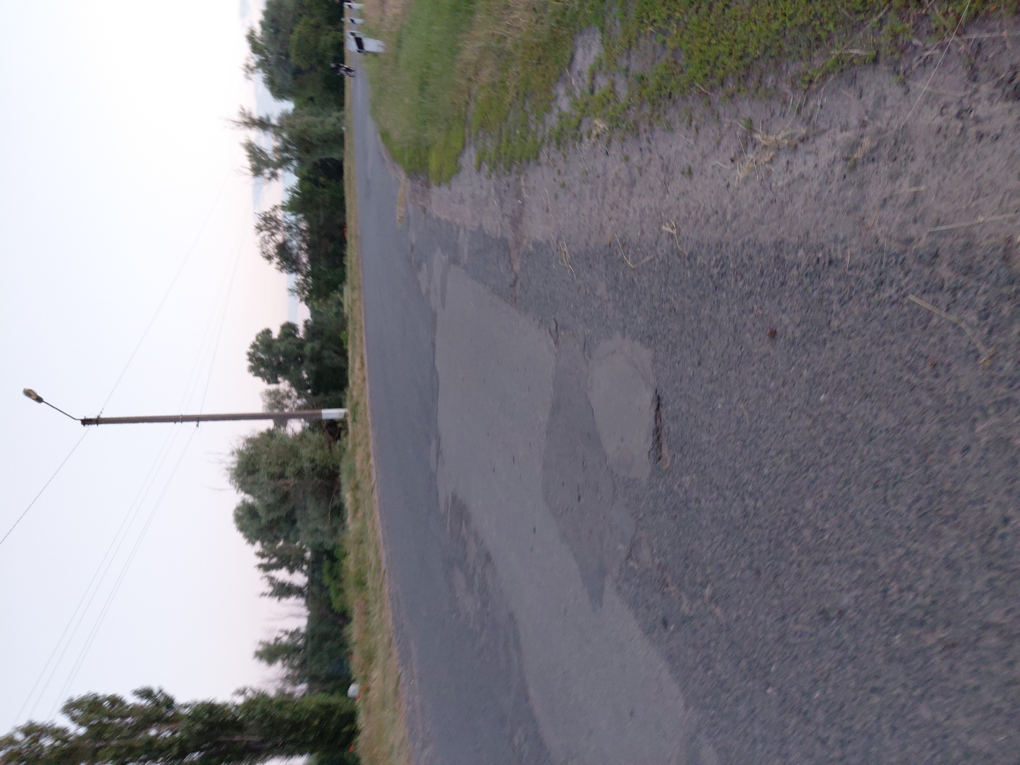 The image shows an asphalt road in Ustyvytsia, Ukraine. The road is in disrepair with several visible potholes. To the left of the road is a tall tree and a line of other trees and foliage. On the right side of the road, there is a dirt shoulder with sparse grass. A lamppost is visible on the left side of the road in the background. Further down the road on the right, there are two white bollards. A motorcycle with two riders is visible on the road in the distance on the right. The sky is overcast, suggesting it is either early morning or late evening.