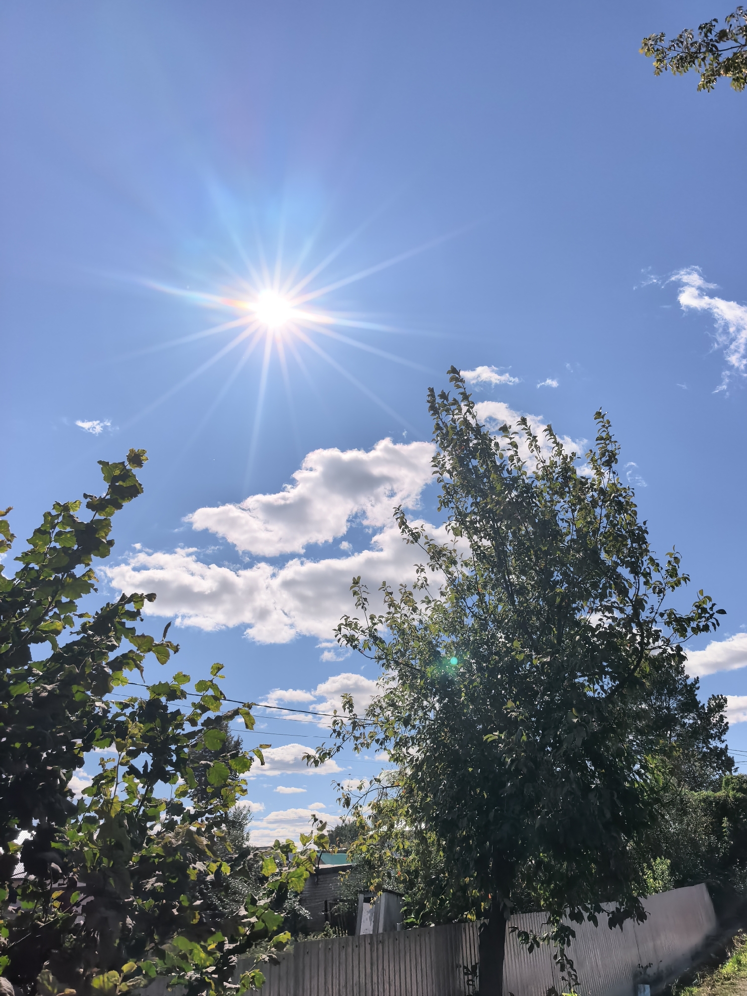 The image depicts a bright, sunny day with a clear blue sky and scattered white clouds. The sun, a brilliant point of light with prominent rays and a lens flare, is positioned in the upper left quadrant. In the foreground, on the left, is a leafy green tree. To the right, a larger tree with dark green foliage stands prominently, its branches reaching upwards towards the sky. Below the trees, a corrugated metal fence runs horizontally across the lower part of the frame, separating the immediate foreground from a background landscape. The background reveals a residential area with buildings and more trees, hinting at a suburban or rural setting within or near the city of Sterlitamak, Russia. There are no people visible in the image. The overall scene is one of a typical summer day.