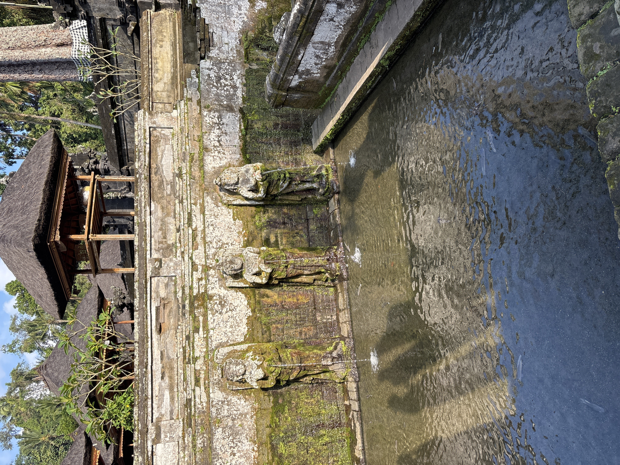 The image shows a fountain area at the Tirta Empul Temple in Blahbatuh, Indonesia. Three stone statues of women are carved into a moss-covered wall. Water streams from the hands of each statue into a pool below. The pool contains several fish visible swimming beneath the rippling surface. Shadows of trees and structures are cast on the water. In the background, traditional Balinese architecture with thatched roofs can be seen, surrounded by lush greenery and large trees. The stone structures are aged and weathered, with moss and vegetation growing on them.