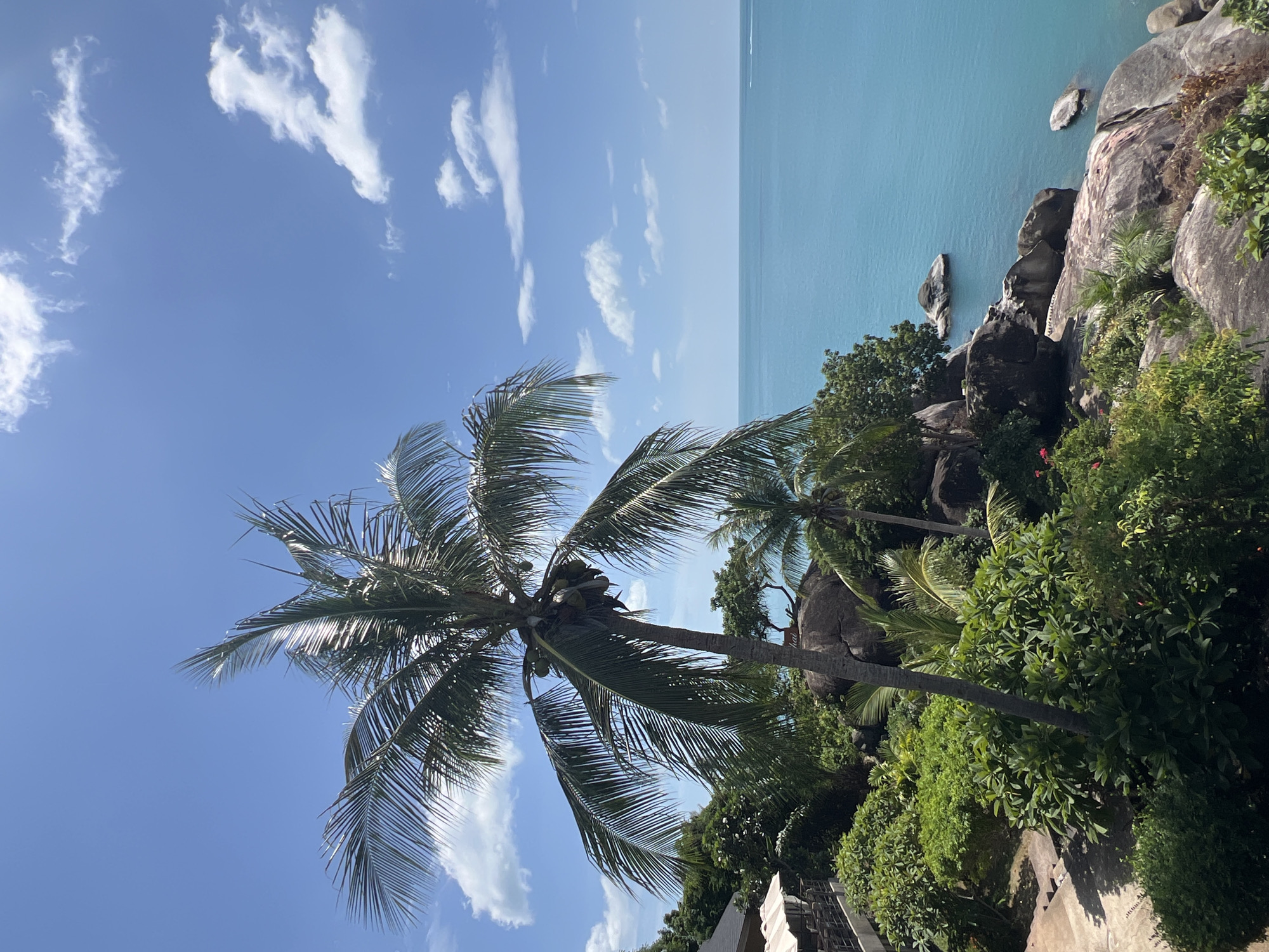 This is an outdoor, vertical, eye-level shot of a tropical scene on Koh Samui, Thailand. In the foreground, a large coconut palm tree with coconuts is prominent, with its fronds extending towards the upper left and right. To the left of the palm tree, a building with a dark roof and white awnings is visible, along with lush green foliage and some large rocks. The middle ground features more dense greenery, large boulders, and a smaller palm tree. The background is dominated by the turquoise ocean, meeting a clear blue sky with scattered white clouds. The water appears calm with a few distant rocks or small islands and a faint boat wake on the right horizon. The overall impression is one of a serene, sunny, tropical coastal landscape.