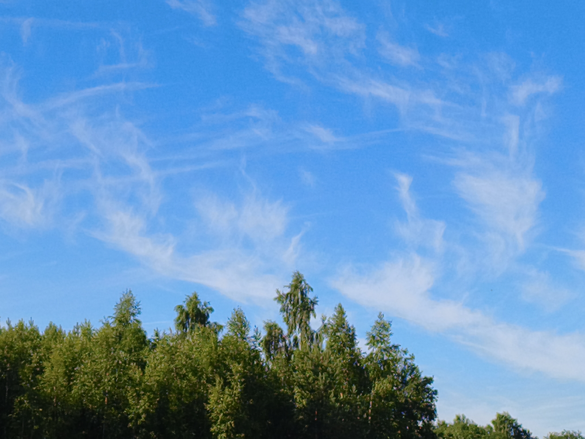 The image depicts a clear, bright blue sky with wispy white cirrus clouds stretched across it. Below the sky, a dense line of green trees forms the lower portion of the frame. The trees are a mix of deciduous and coniferous types, with varied textures and shades of green, indicating a natural, possibly rural or park-like setting. The scene is devoid of any human presence, structures, or visible signs of urban activity, suggesting it was captured in an open, natural environment outside of the immediate vicinity of Skrunda-1, Latvia, though the broader region is characterized by forests and open skies.