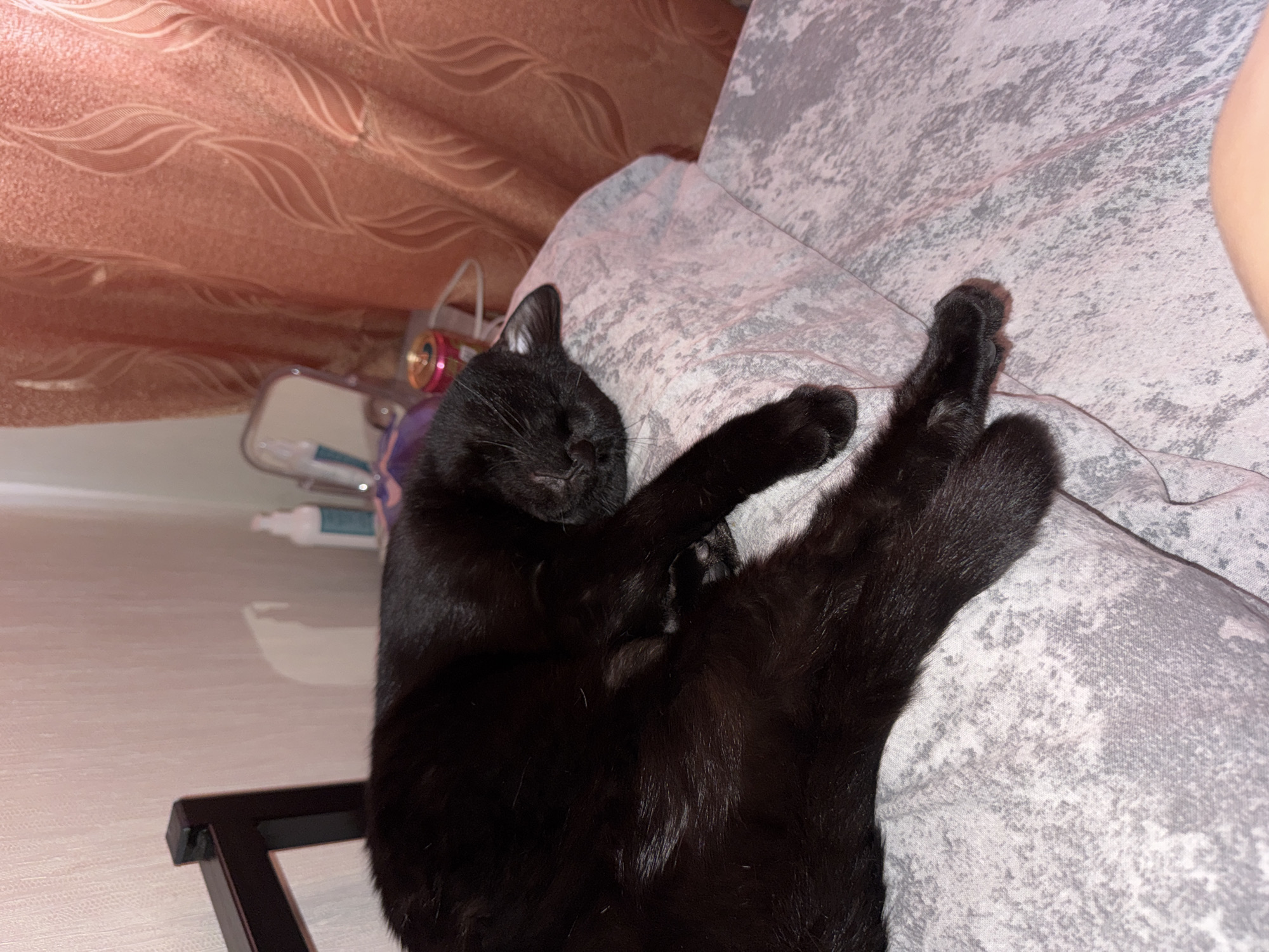 A black cat is curled up asleep on a grey and white patterned surface, possibly a bed or cushion. The cat's head is near the top left of the frame, and its extended hind legs are on the right side of the image. In the background, there are pink curtains, various containers, and a portion of a black table. The photograph appears to have been taken in a residential setting. There is no indication of the location being in the city of Chaikovsky, Russia.
