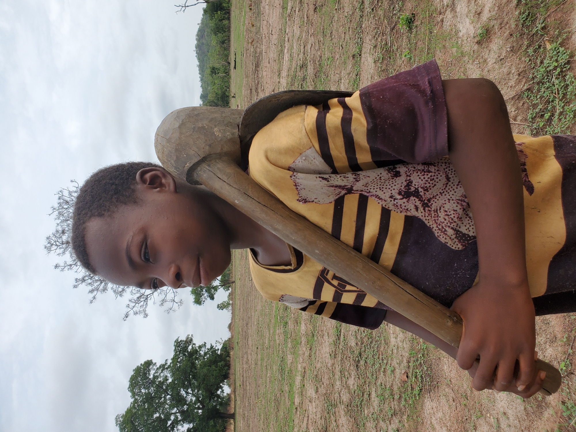 A young person, likely a boy, with dark skin and short dark hair, is depicted carrying a large, heavy wooden object, possibly a mortar or a large pestle, over his left shoulder. He holds the long handle of the implement with his right hand. He is wearing a yellow shirt with dark brown stripes and patterned sections. His gaze is directed downwards and slightly to his left, with a neutral and focused expression.
The setting is an outdoor, rural or semi-rural environment in Mararaba, Nigeria. The background consists of a vast expanse of light brown, dry ground with sparse green vegetation and patches of grass, suggesting a dry season or recently tilled land. In the distance, there are scattered trees, including a large, dark green leafy tree on the left, and rolling hills or mountains covered in dense green foliage. The sky is overcast and light grey, indicating a cloudy day. The image captures a moment of daily activity, possibly involving agricultural work or food preparation. There is no visible text in the image.