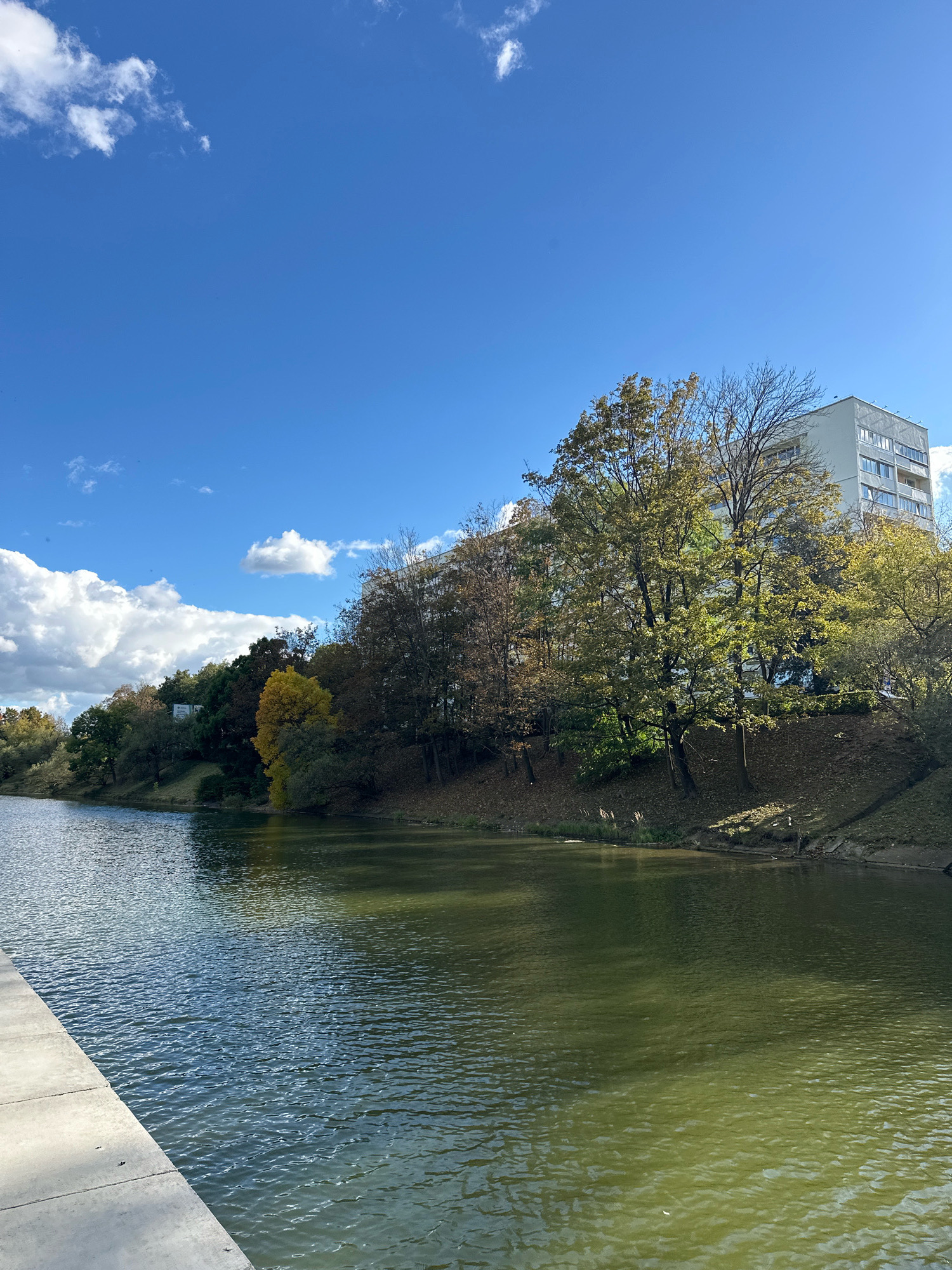 The image depicts a serene waterscape, likely a canal or a wide river, with a concrete embankment in the foreground. On the opposite bank, a lush, tree-lined slope ascends towards a multi-story apartment building. The foliage exhibits autumnal hues, with a mix of green and yellow leaves. The sky is a vibrant blue, dotted with fluffy white clouds. The overall scene suggests a tranquil urban park environment in Minsk, Belarus, perhaps during the fall season.