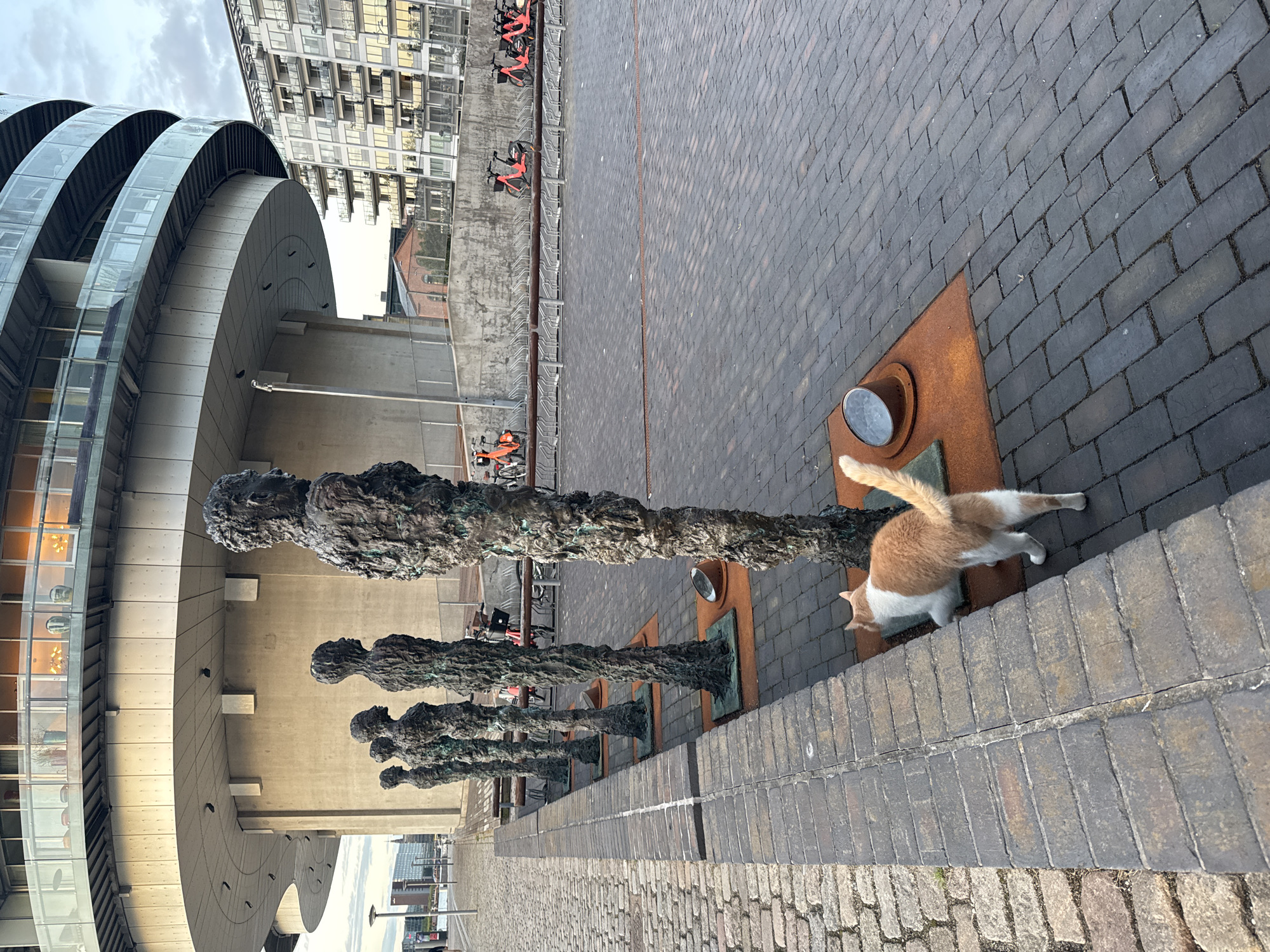 The image depicts an outdoor scene in Copenhagen, Denmark, featuring a row of seven abstract human-like sculptures made of dark, textured material. These sculptures are positioned along a brick pathway in front of a modern, curved building with multiple levels and balconies. To the right of the sculptures, a row of orange bicycles is parked at a bike rack. In the foreground, an orange and white cat is walking away from the camera, turning its head to look back. The ground is paved with dark bricks, and the pathway is bordered by lighter-colored bricks. The sky is overcast with some clouds. The overall impression is a public urban space with artistic elements and functional amenities.