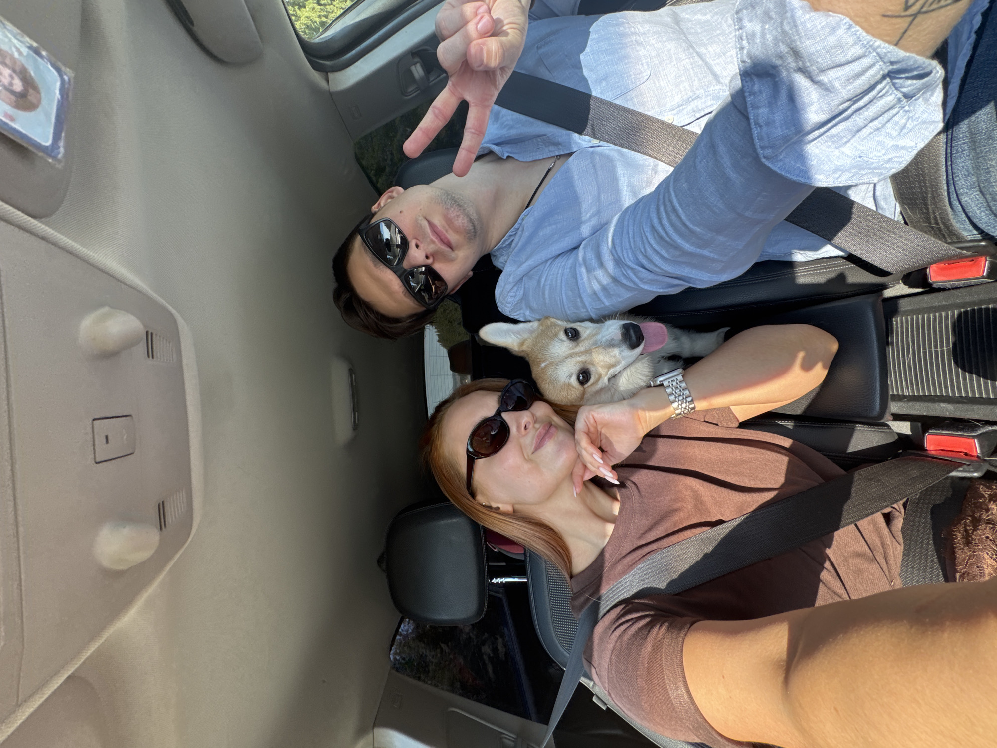 Inside a vehicle, a man, a woman, and a corgi dog are positioned for a photo. The man, wearing sunglasses and a light blue shirt, is in the passenger seat, giving a peace sign with his fingers. The woman, with sunglasses and a brown shirt, is in the driver's seat, posing with her hand near her face. The dog is situated in the middle console between them. All three appear to be secured with seatbelts. The car's interior is visible, including the ceiling, air vents, and seat details. The location, Полозово, Russia, cannot be determined from the image.