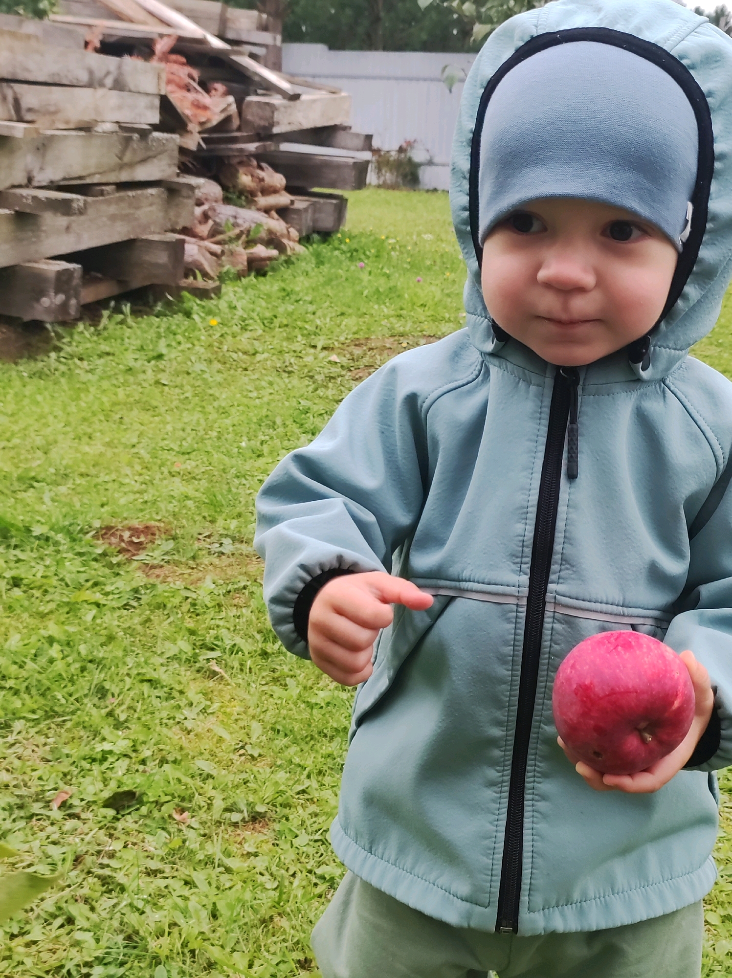 In the city of Fokino, Russia, a young child wearing a blue hooded jacket and hat stands in a grassy area. The child is holding a red apple in their right hand and pointing with their left hand. Behind the child, a pile of wooden planks is visible. The overall environment appears to be outdoors, possibly a yard or park, with green grass covering the ground and some trees or foliage in the background.